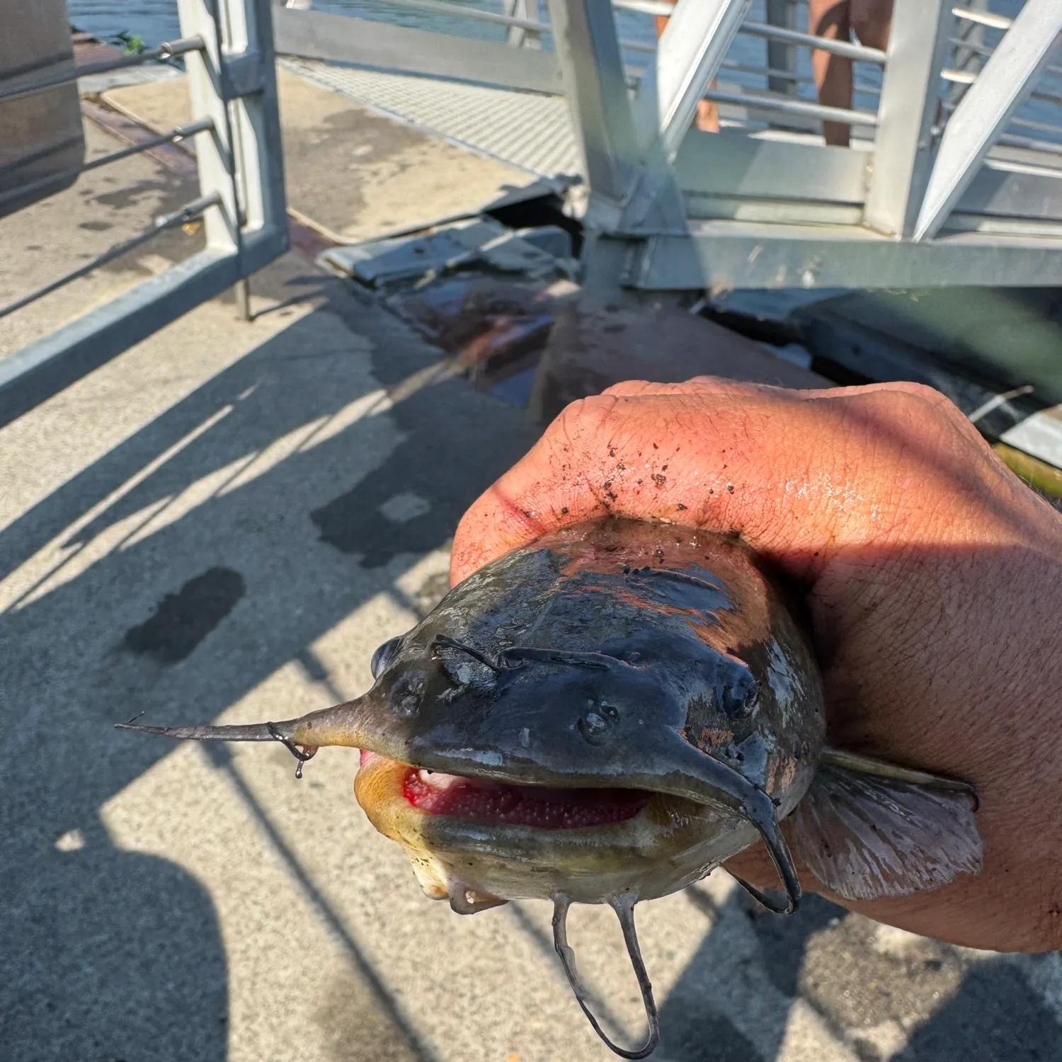 catch