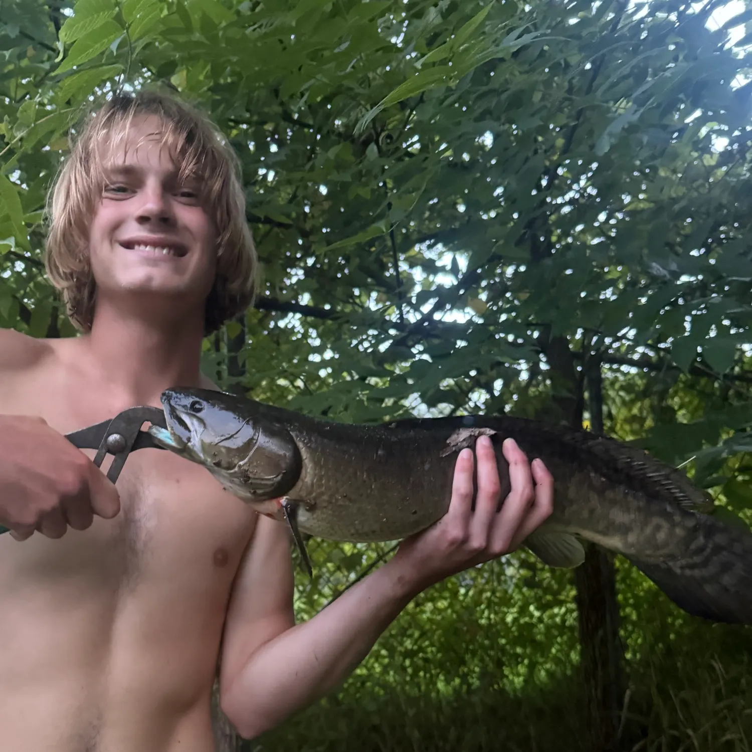 Eyetail bowfin caught on Fishbrain