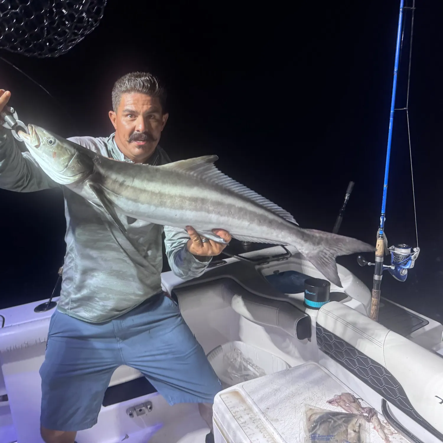 Cobia caught on Fishbrain