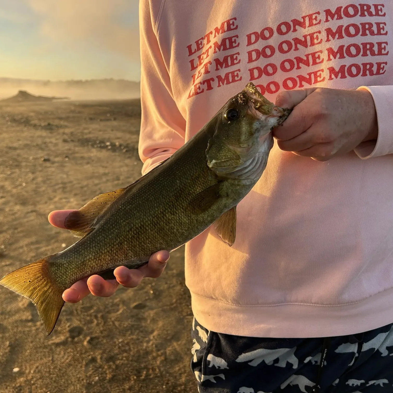 Smallmouth bass caught on Fishbrain