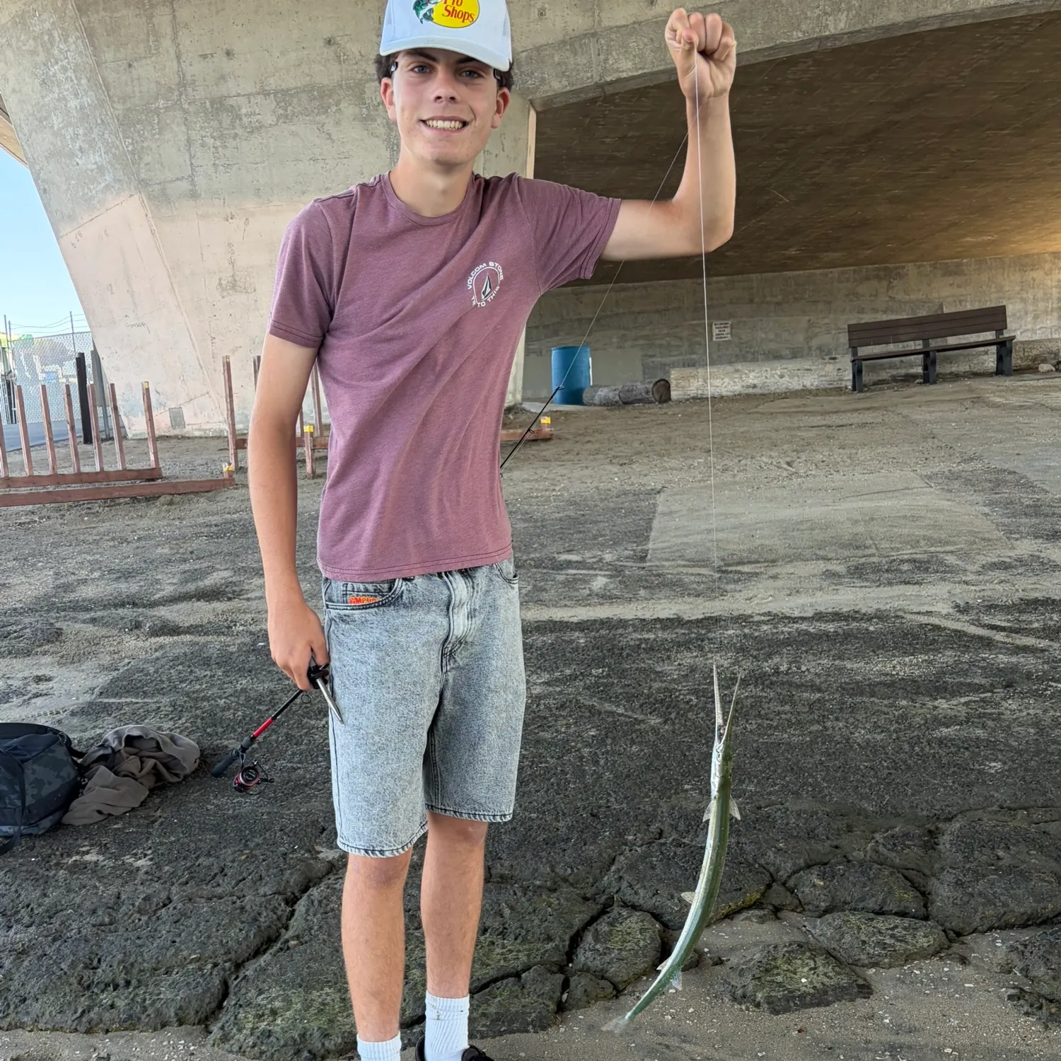 The most recent Atlantic needlefish catches on Fishbrain