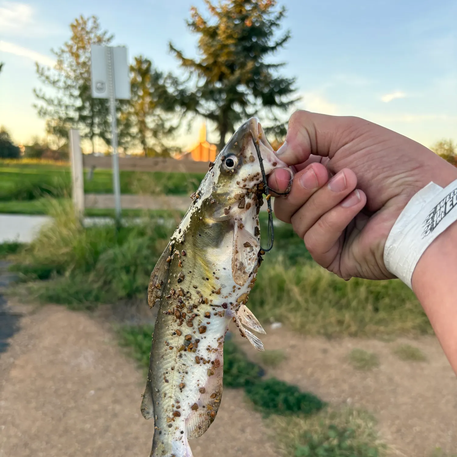 catch