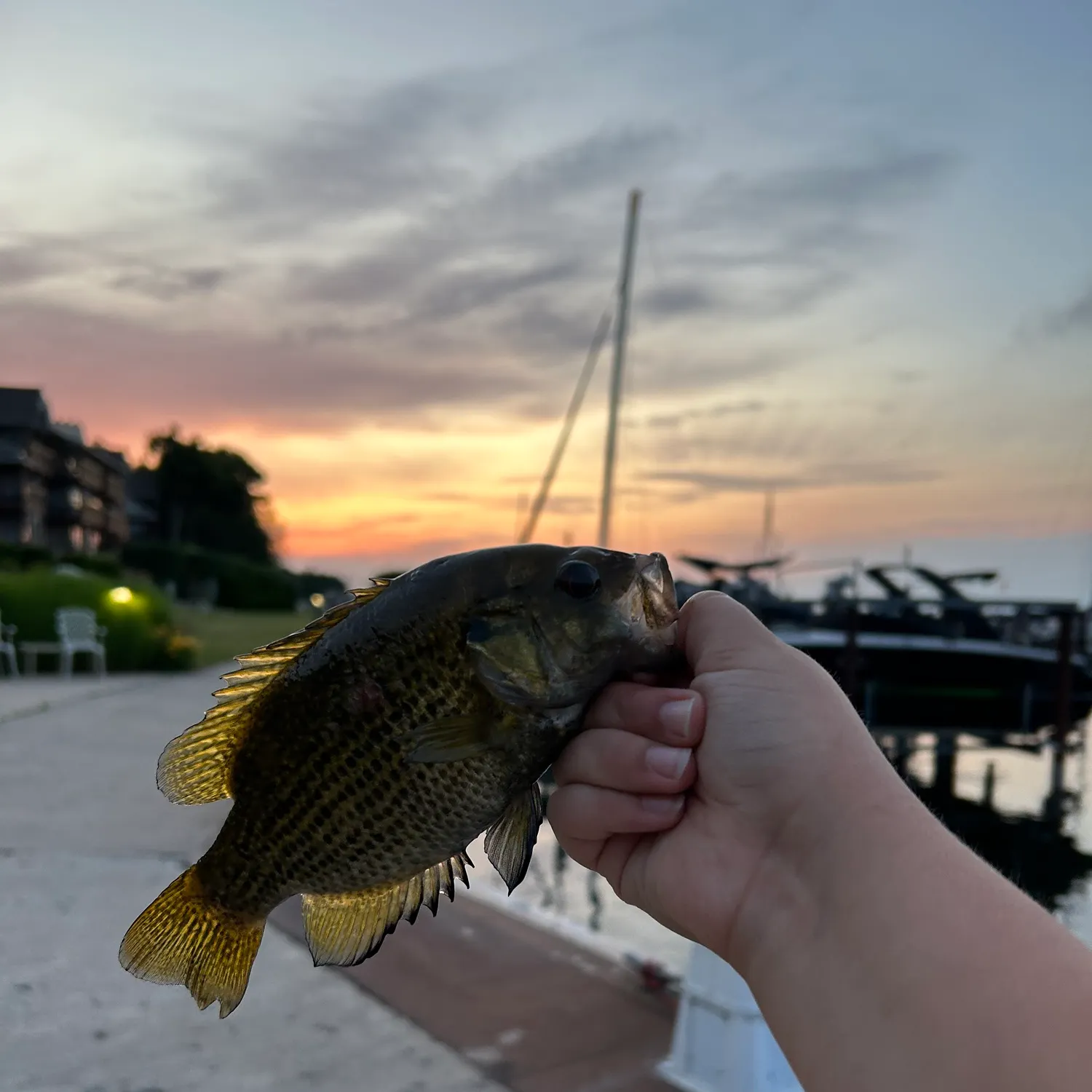 catch