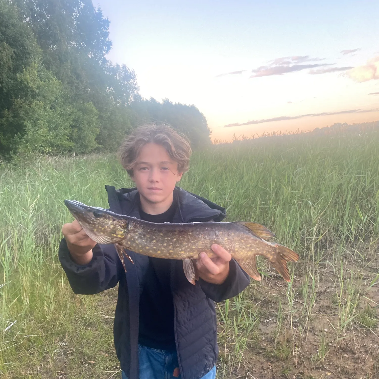 Northern pike caught on Fishbrain