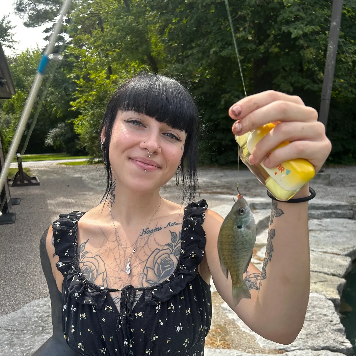 Bluegill caught on Fishbrain
