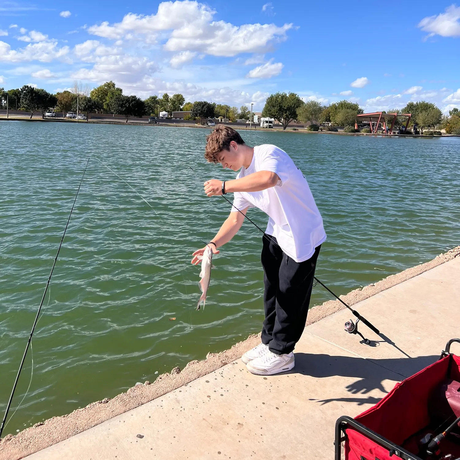 recently logged catches