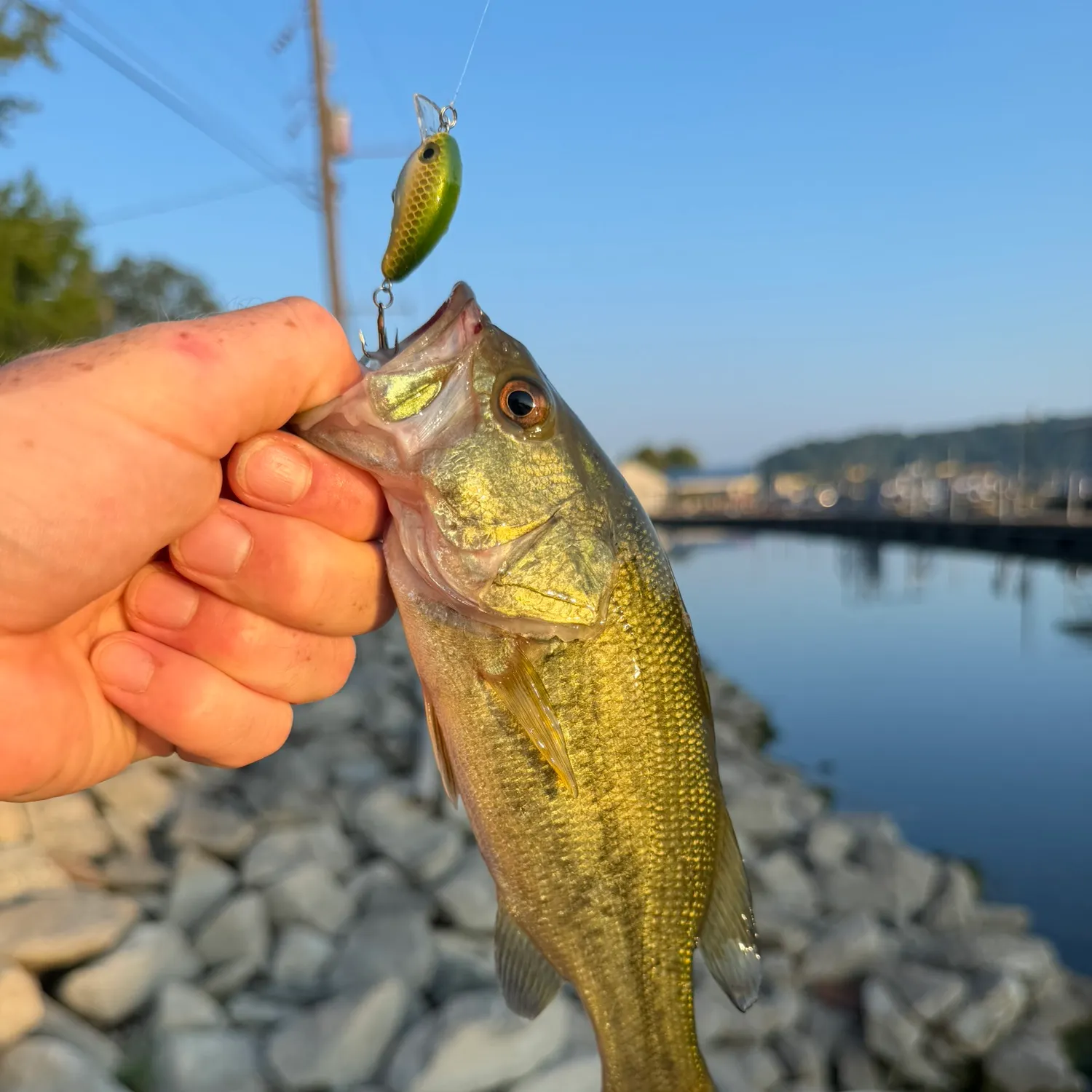 catch