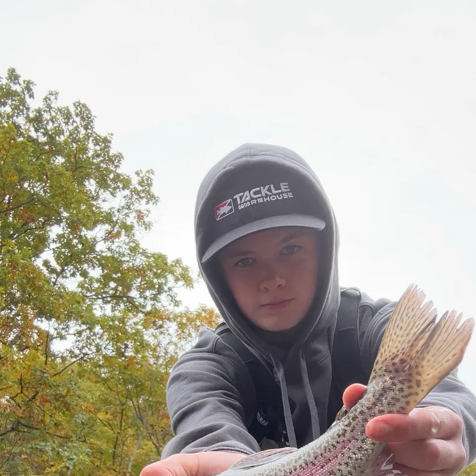 Rainbow trout caught on Fishbrain