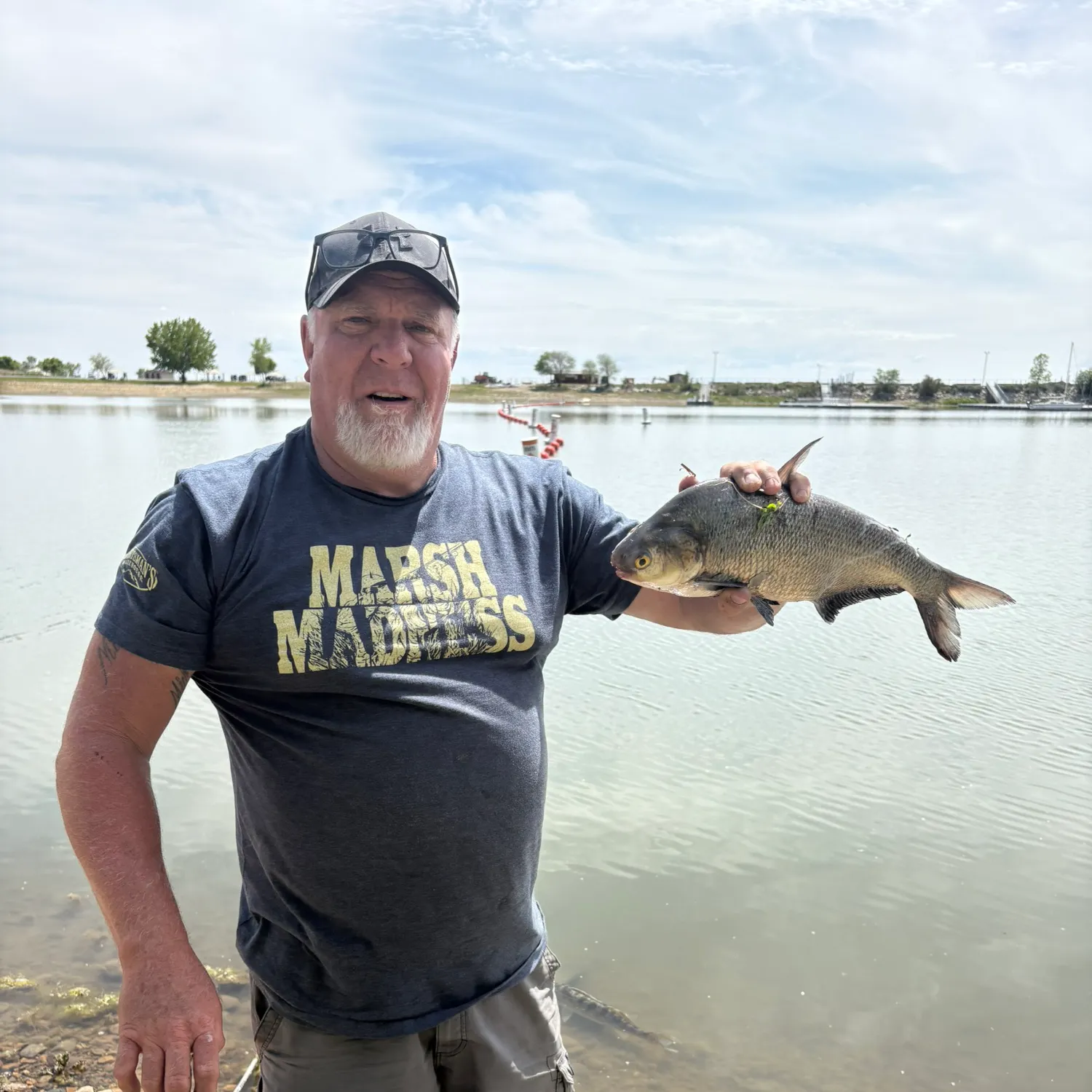 The most recent American gizzard shad catches on Fishbrain