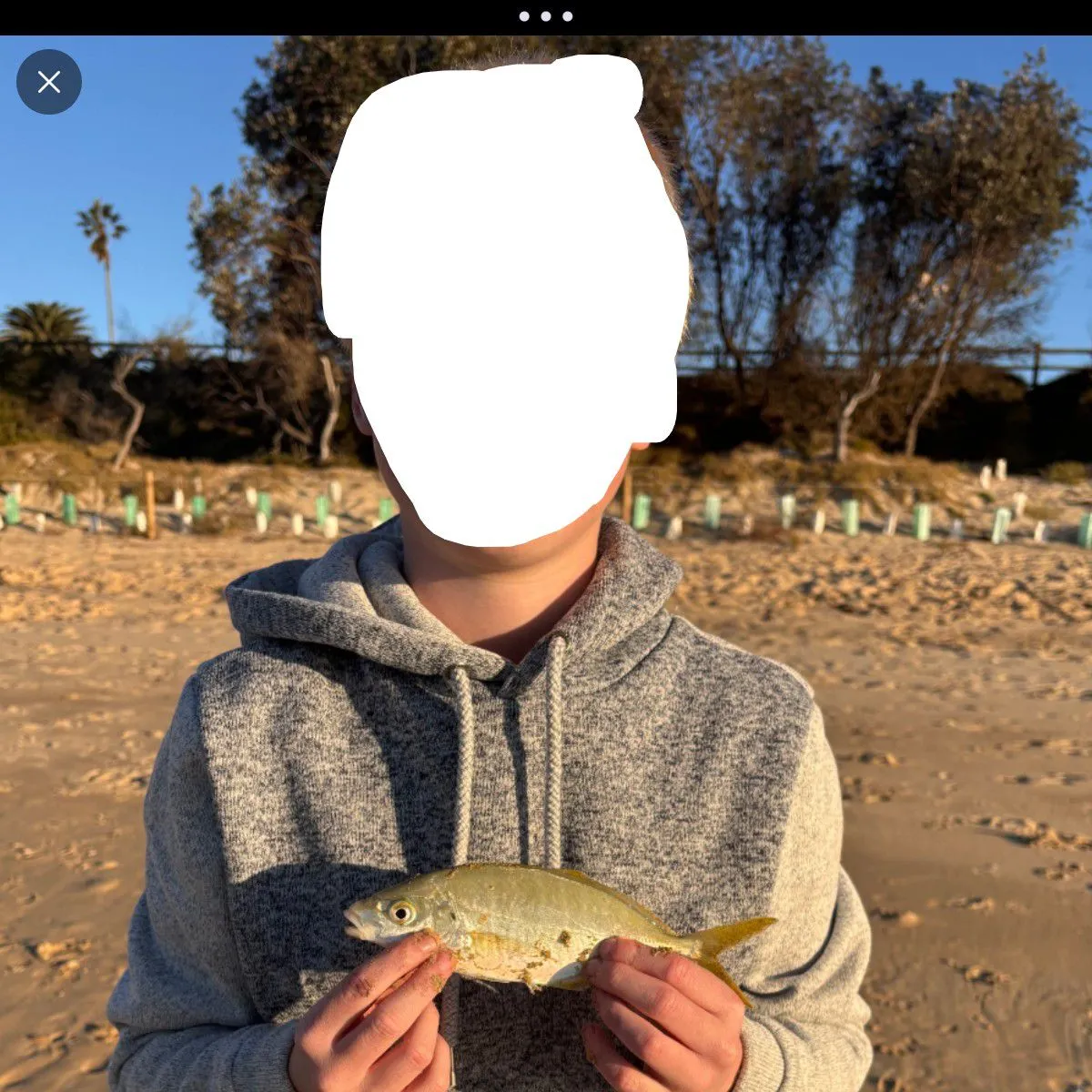 White trevally caught on Fishbrain