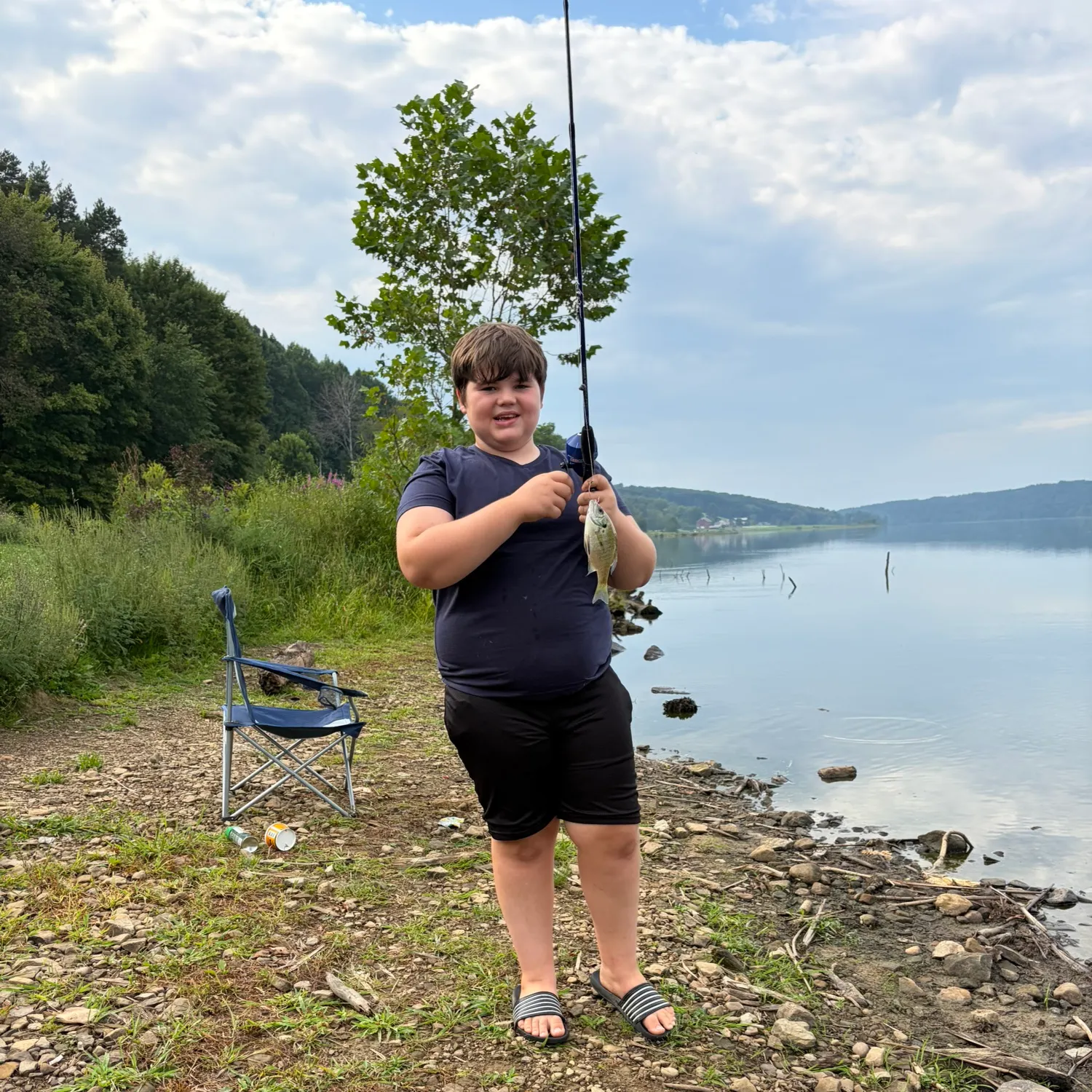 Yellow perch caught on Fishbrain