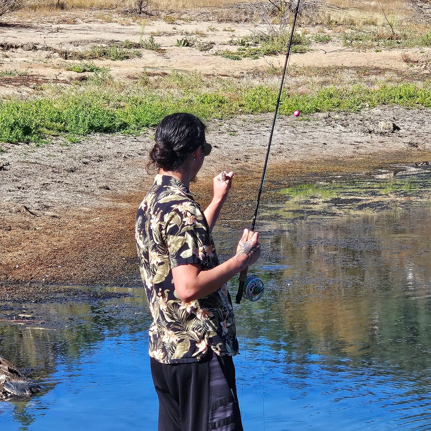 Tui chub caught on Fishbrain