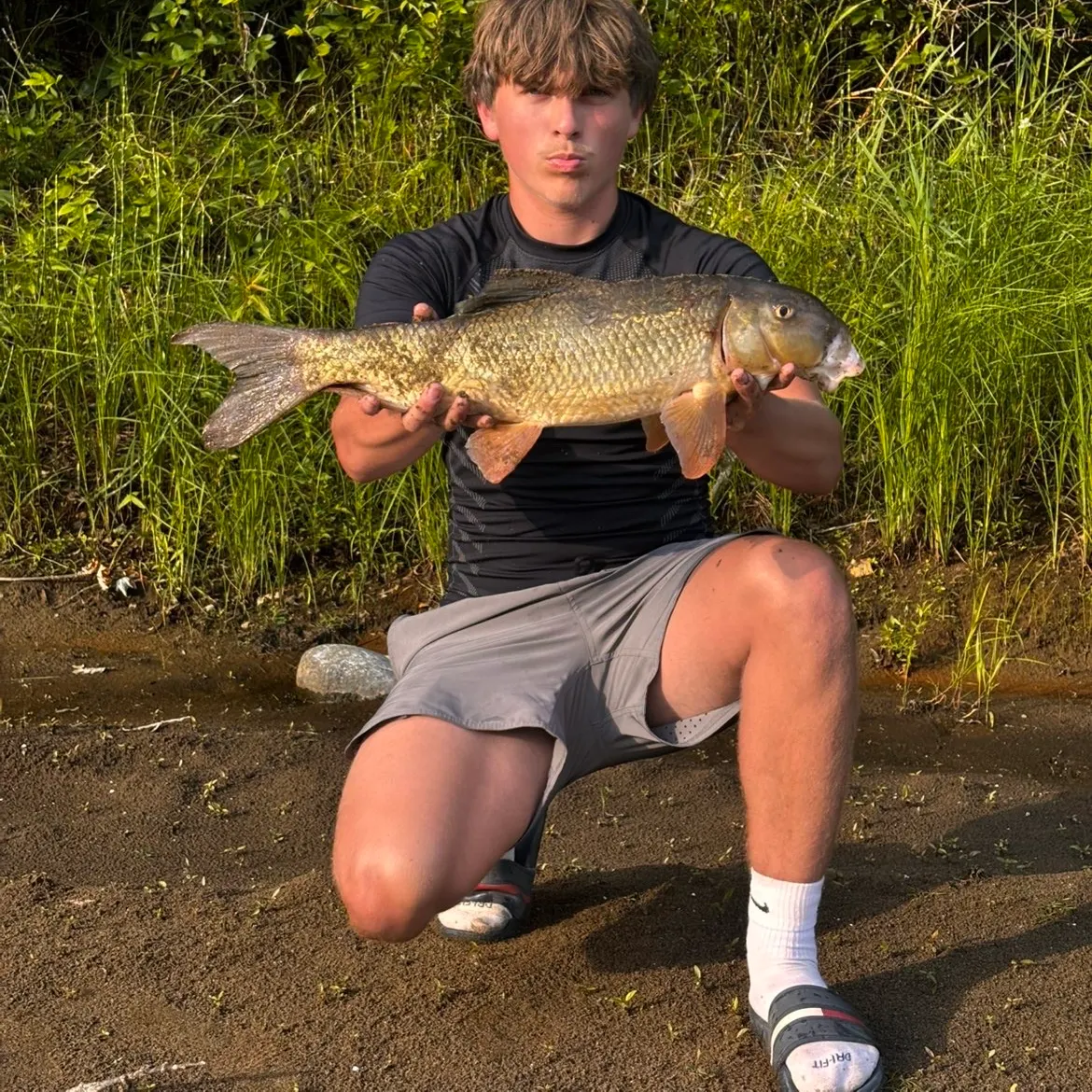 The most recent River redhorse catches on Fishbrain
