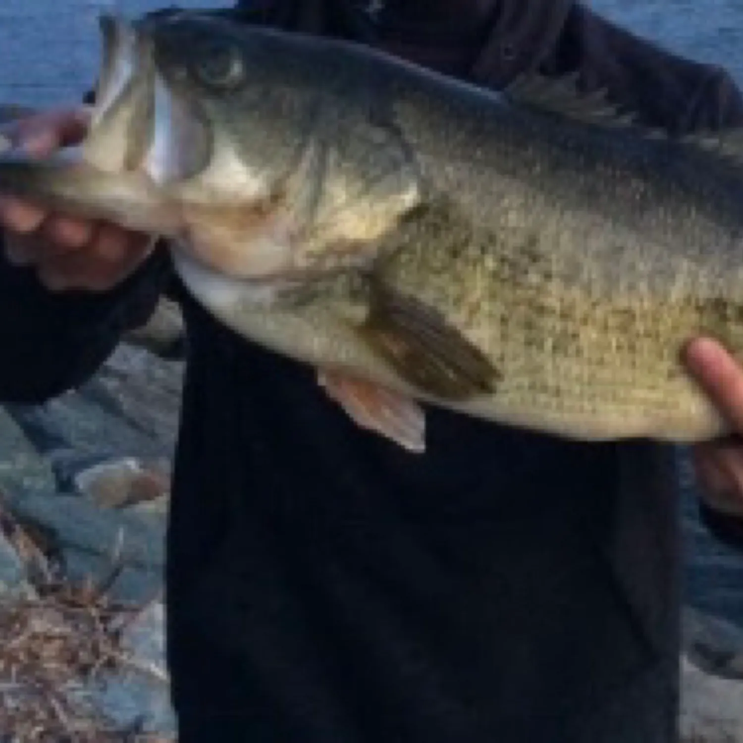 angler catch