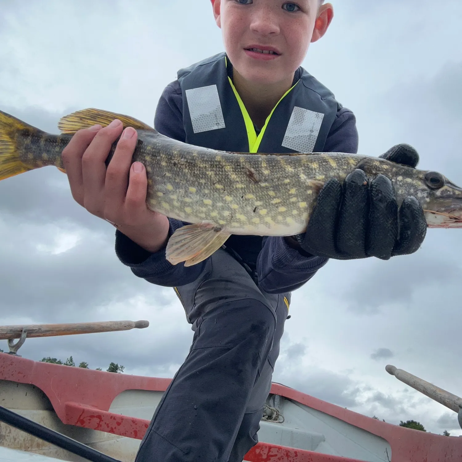 Northern pike caught on Fishbrain