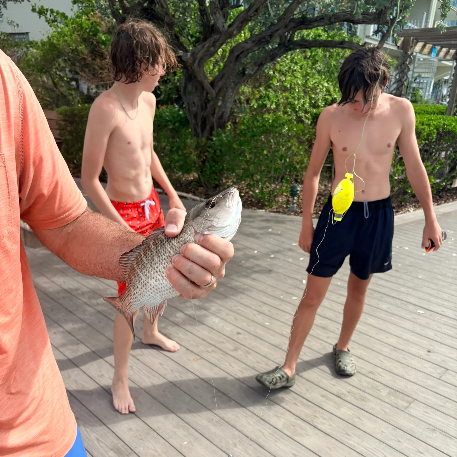 catch