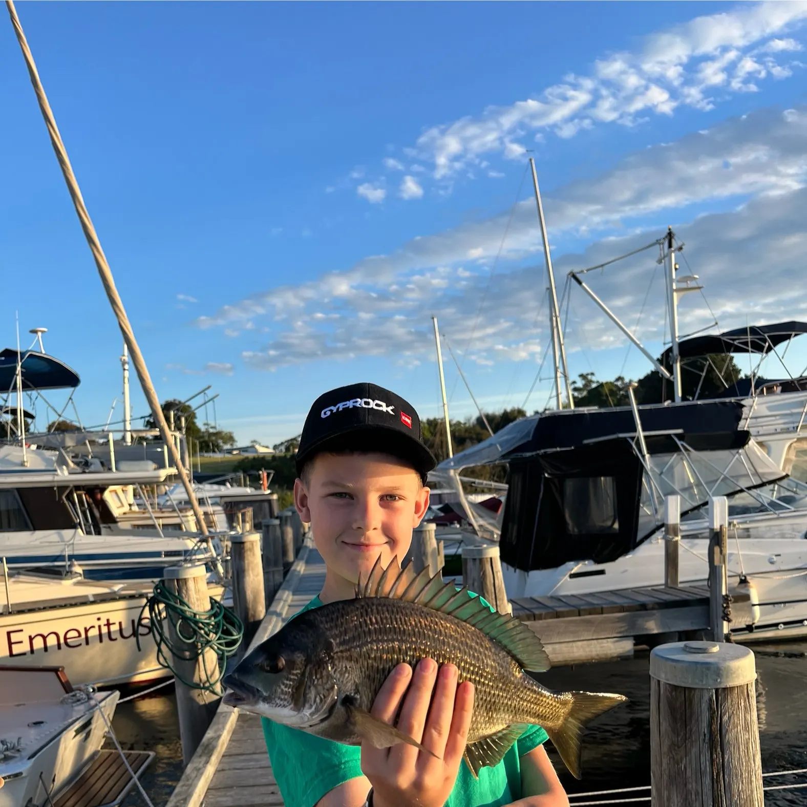 The most recent Southern black bream catches on Fishbrain