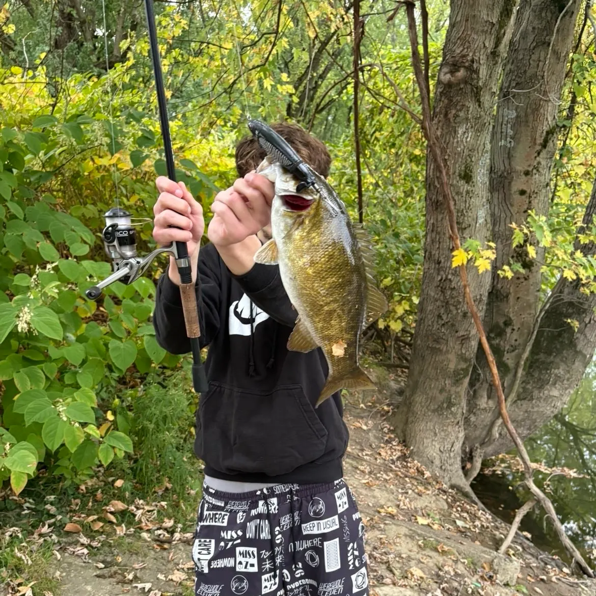Smallmouth bass caught on Fishbrain