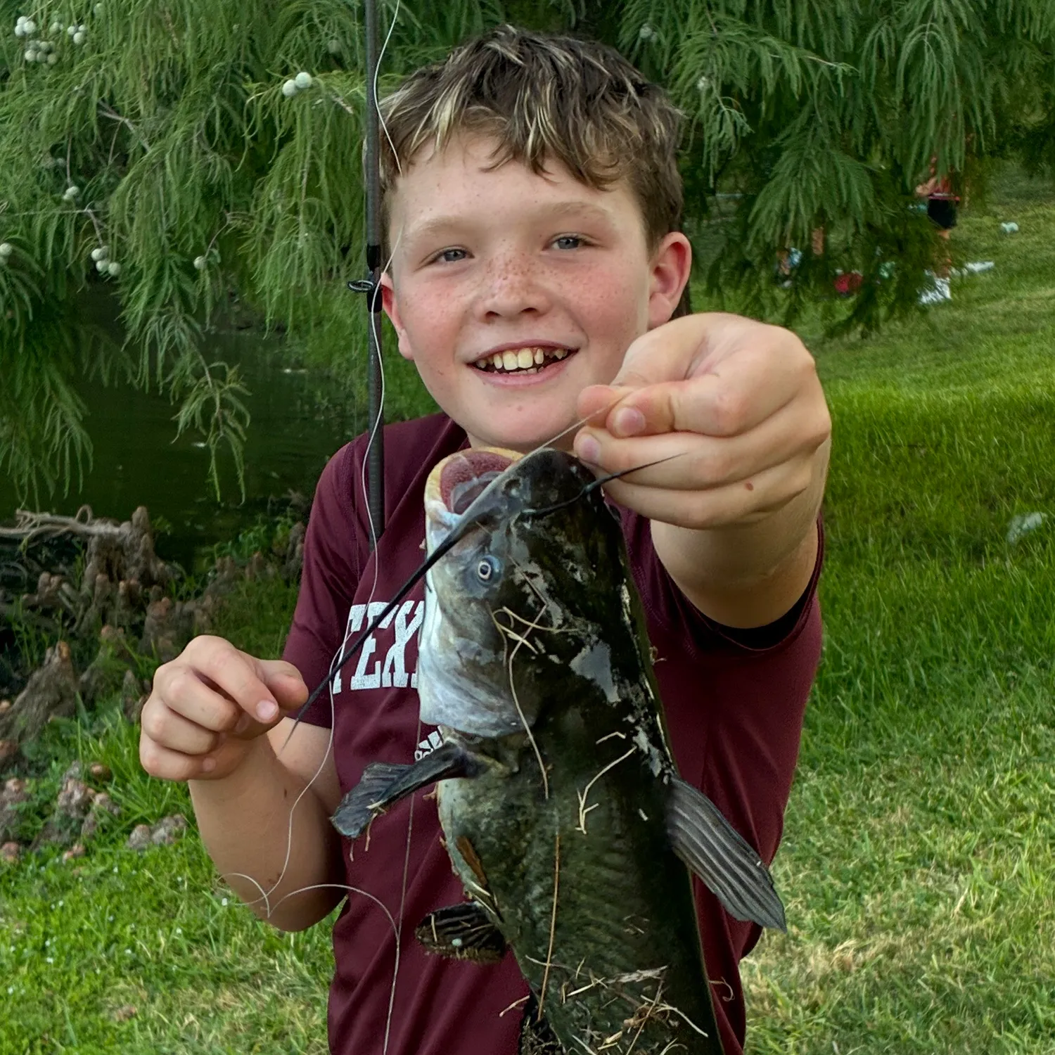 Black bullhead caught on Fishbrain