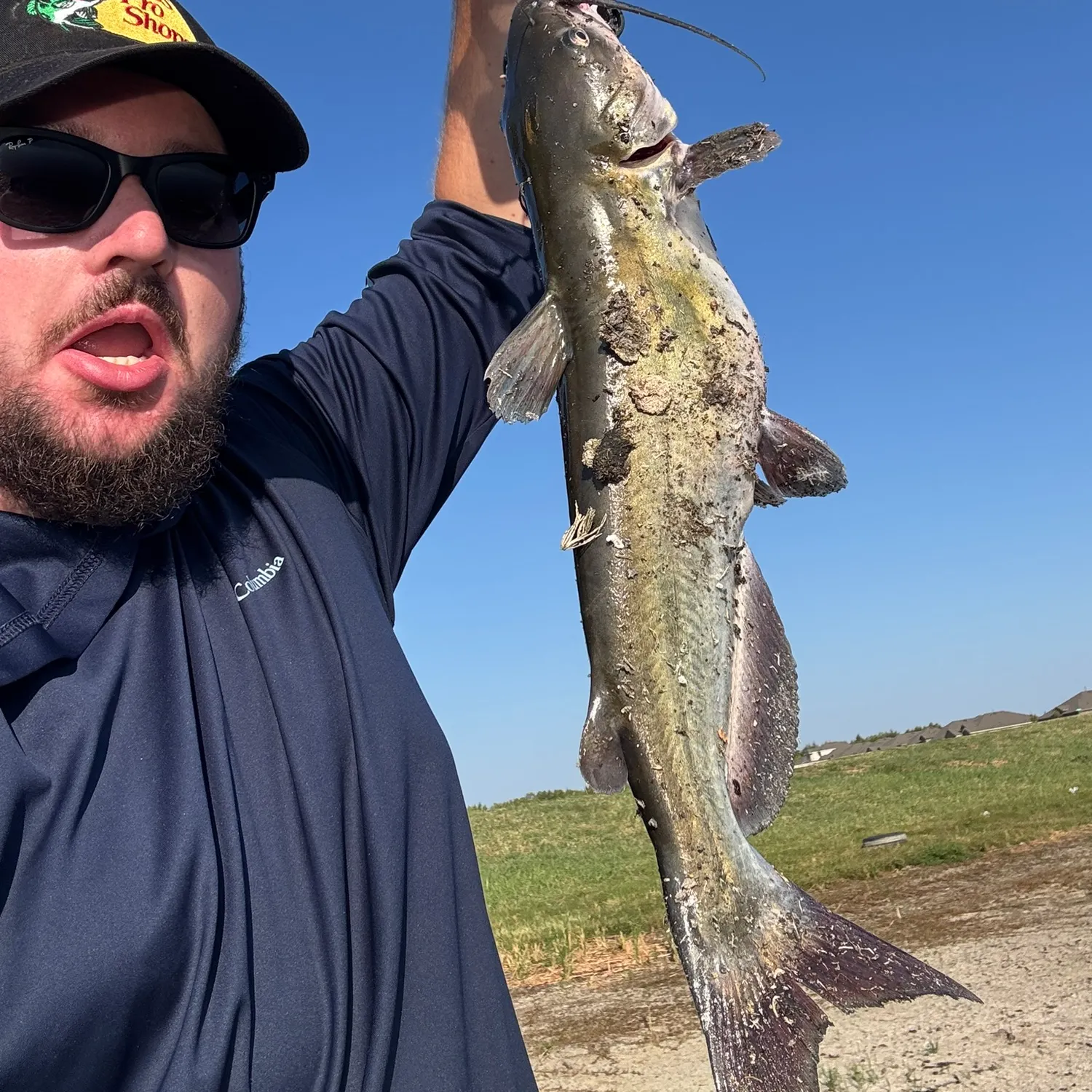 Channel catfish caught on Fishbrain