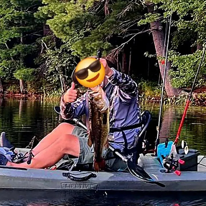 Largemouth bass caught on Fishbrain
