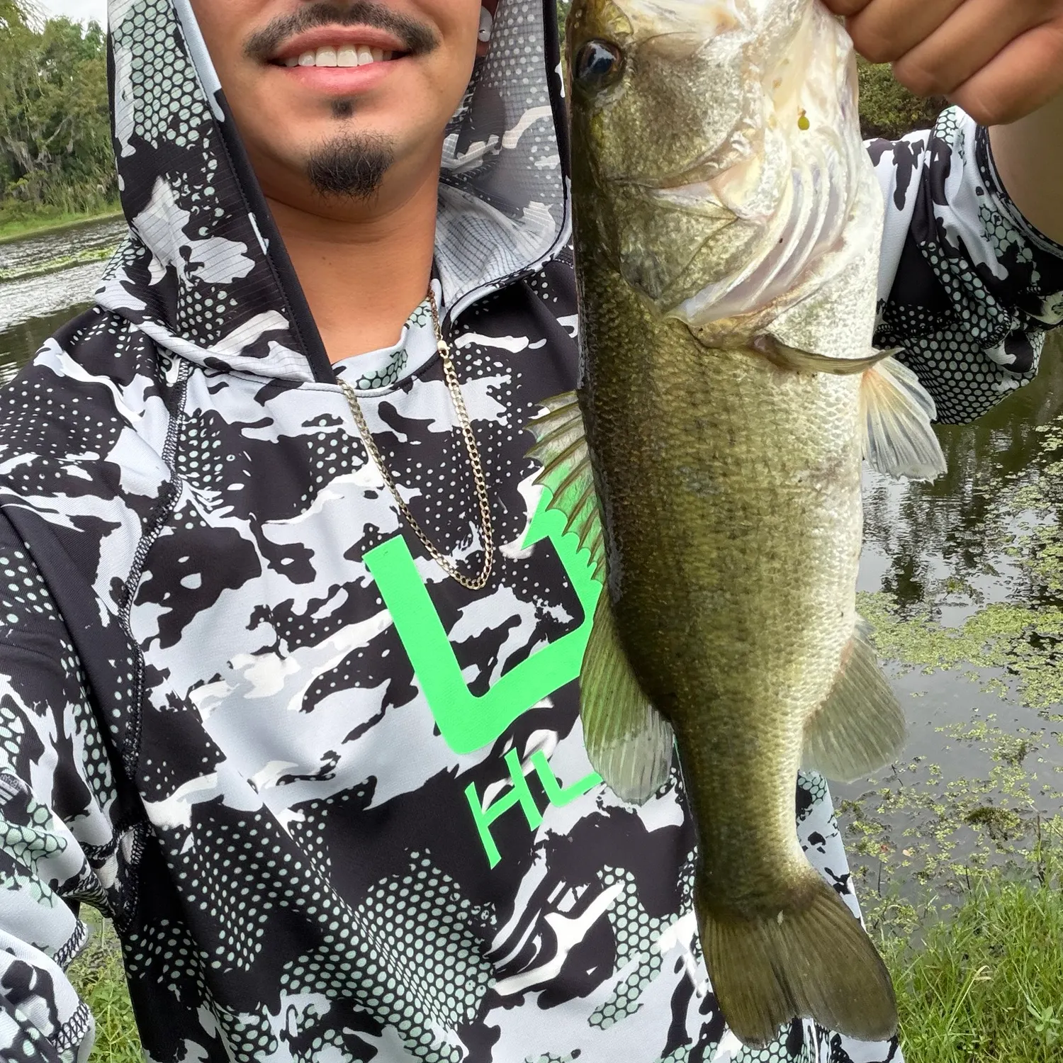 Largemouth bass caught on Fishbrain