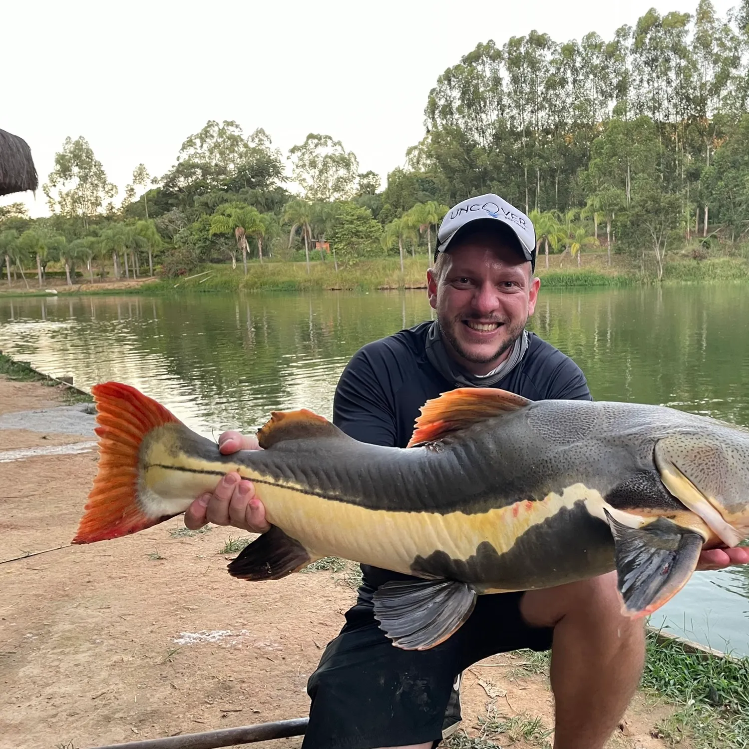 Redtail catfish caught on Fishbrain