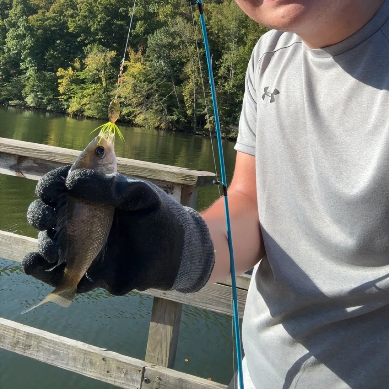 Bluegill caught on Fishbrain