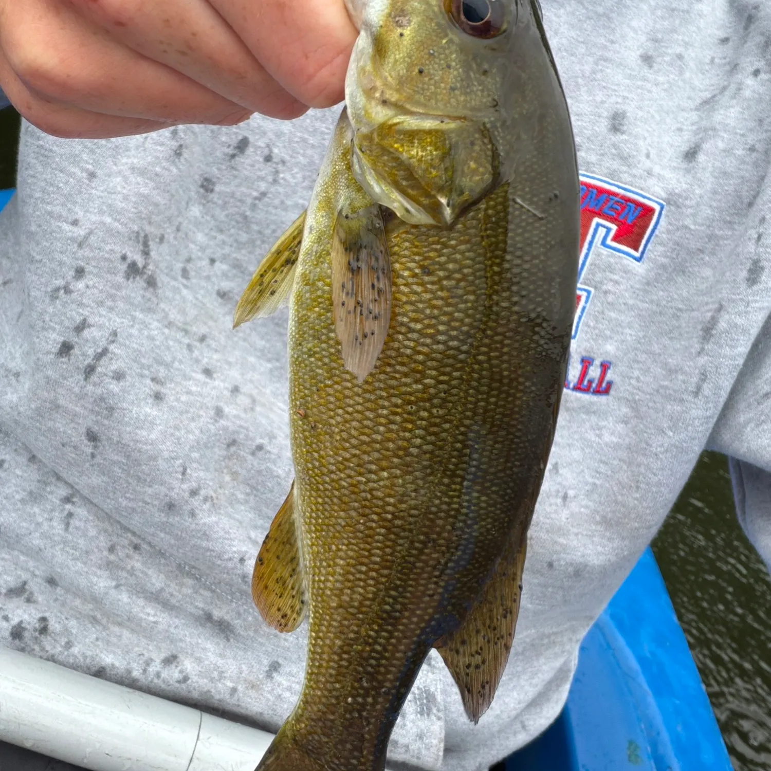 Smallmouth bass caught on Fishbrain