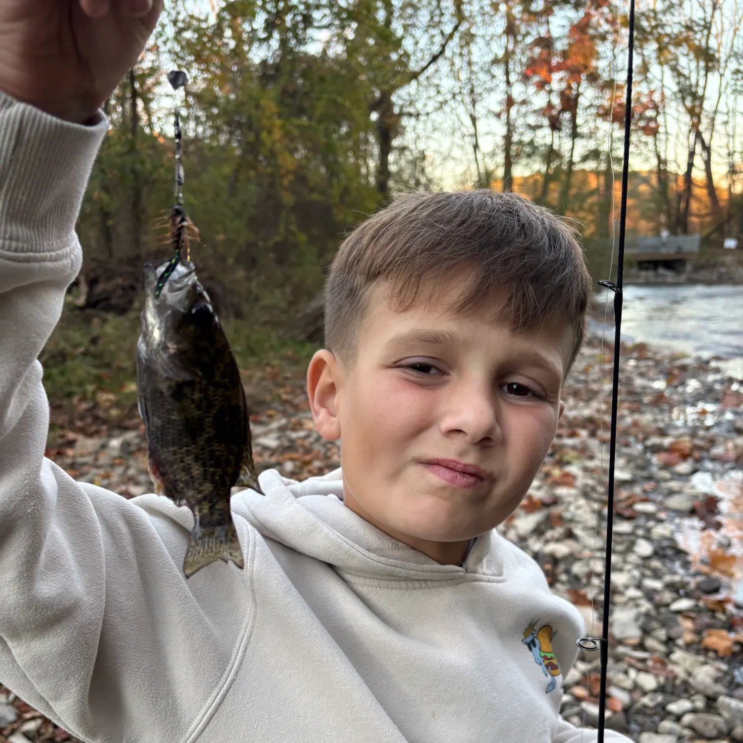 Rock bass caught on Fishbrain