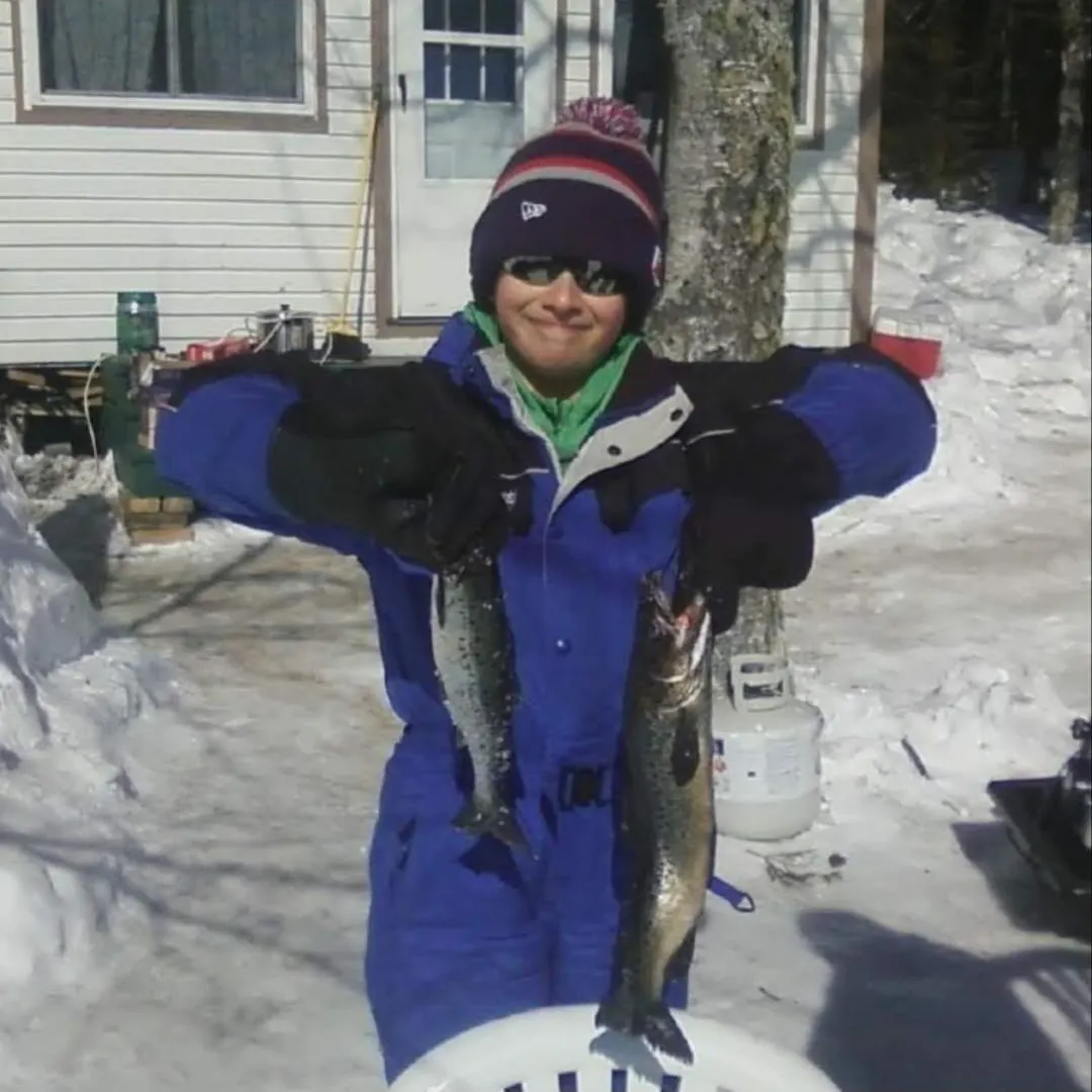 The most recent Landlocked atlantic salmon catches on Fishbrain