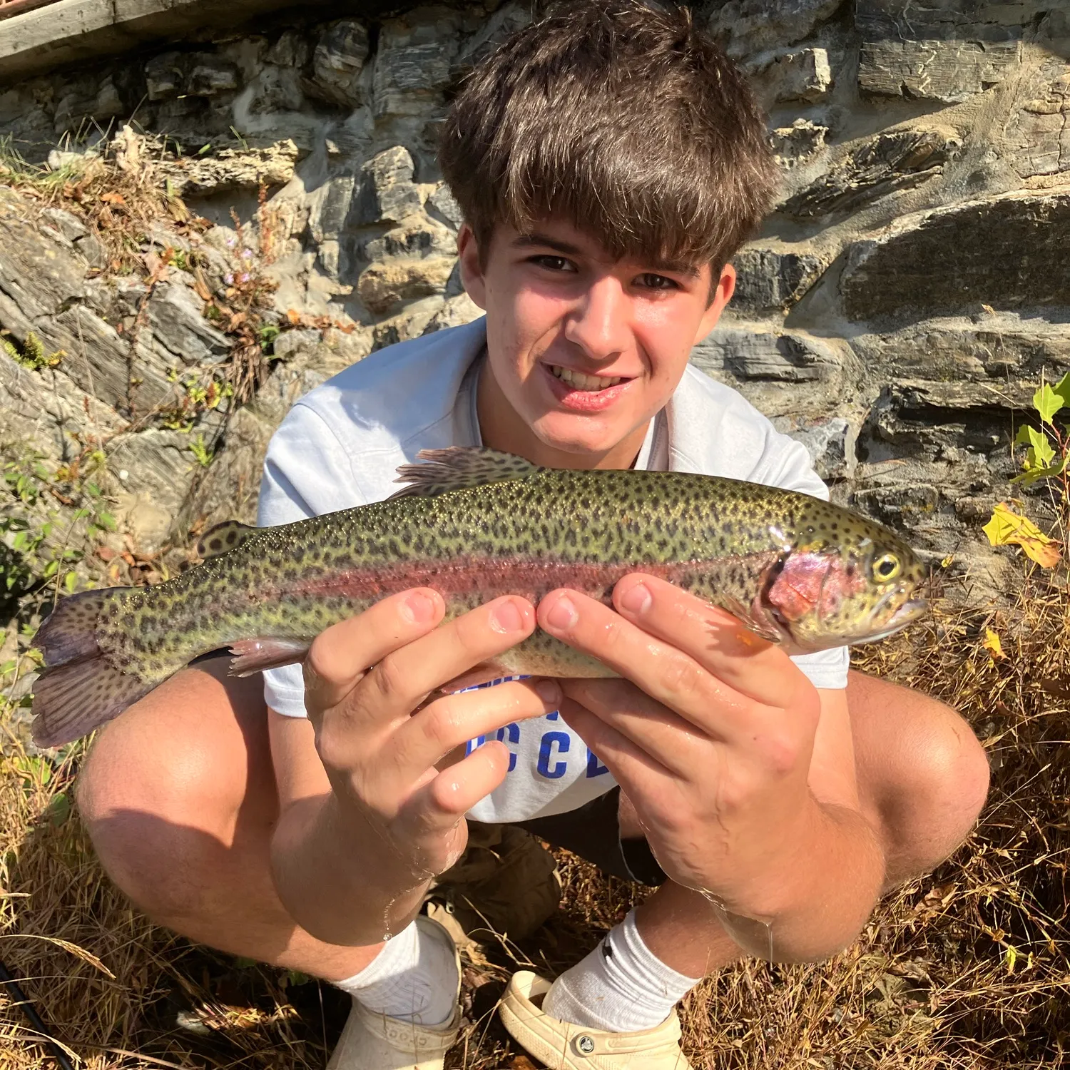 Rainbow trout caught on Fishbrain