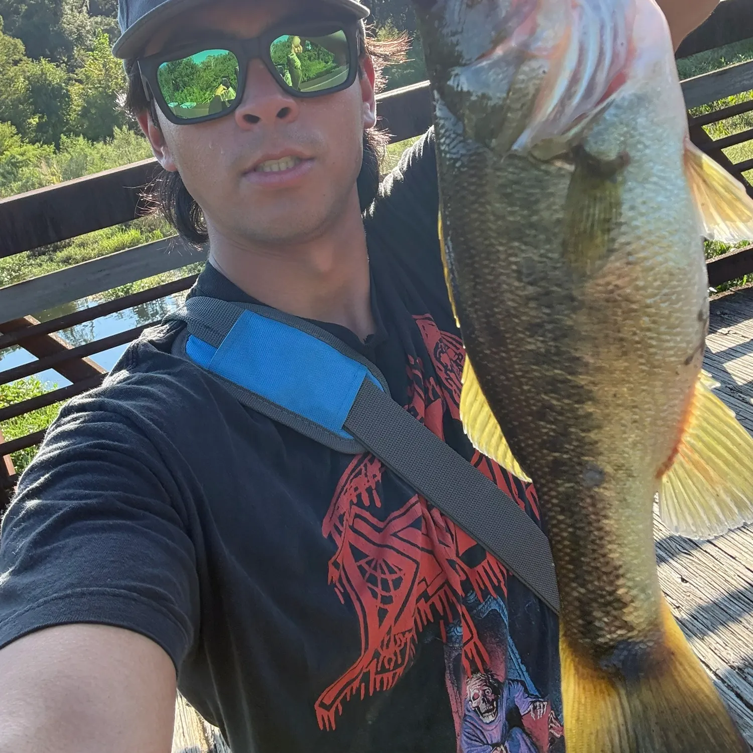 Largemouth bass caught on Fishbrain