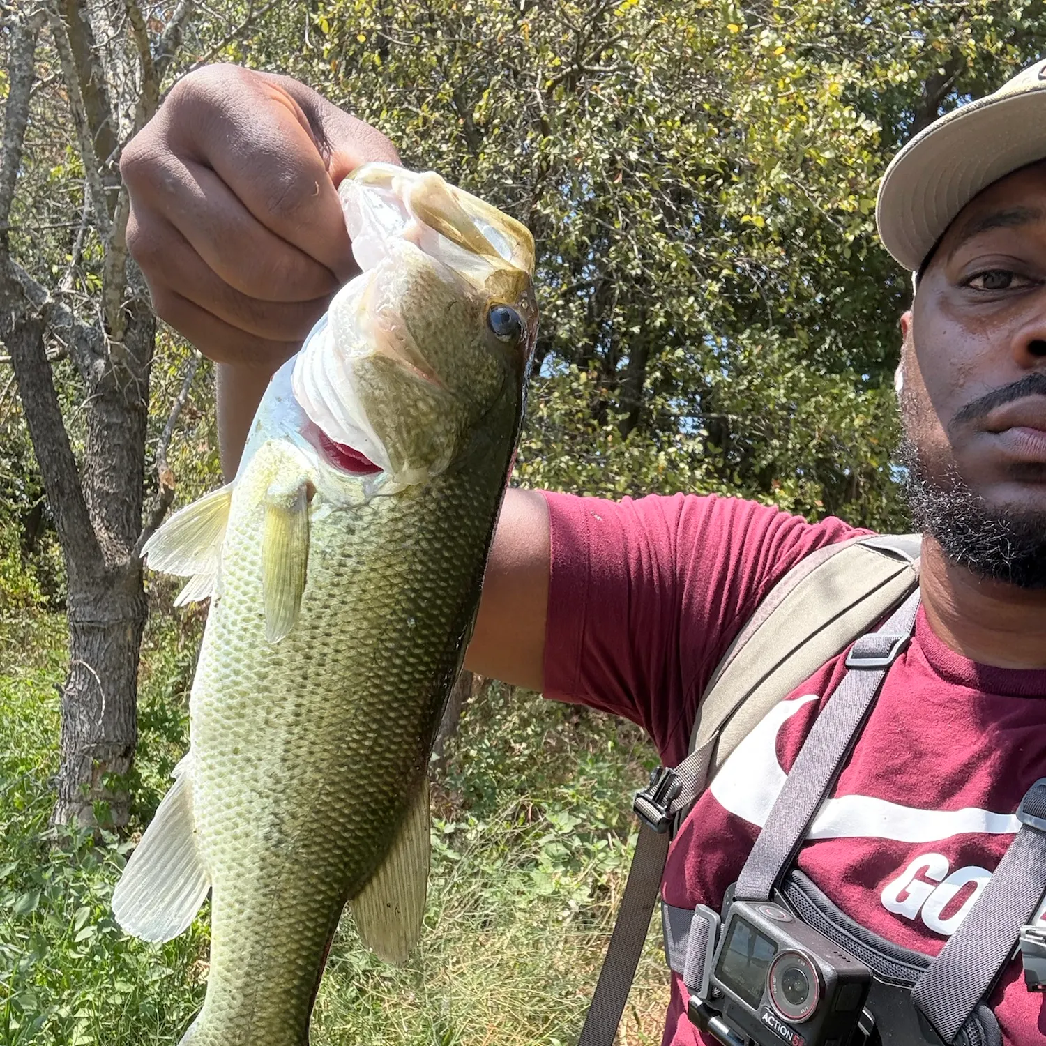 Largemouth bass caught on Fishbrain