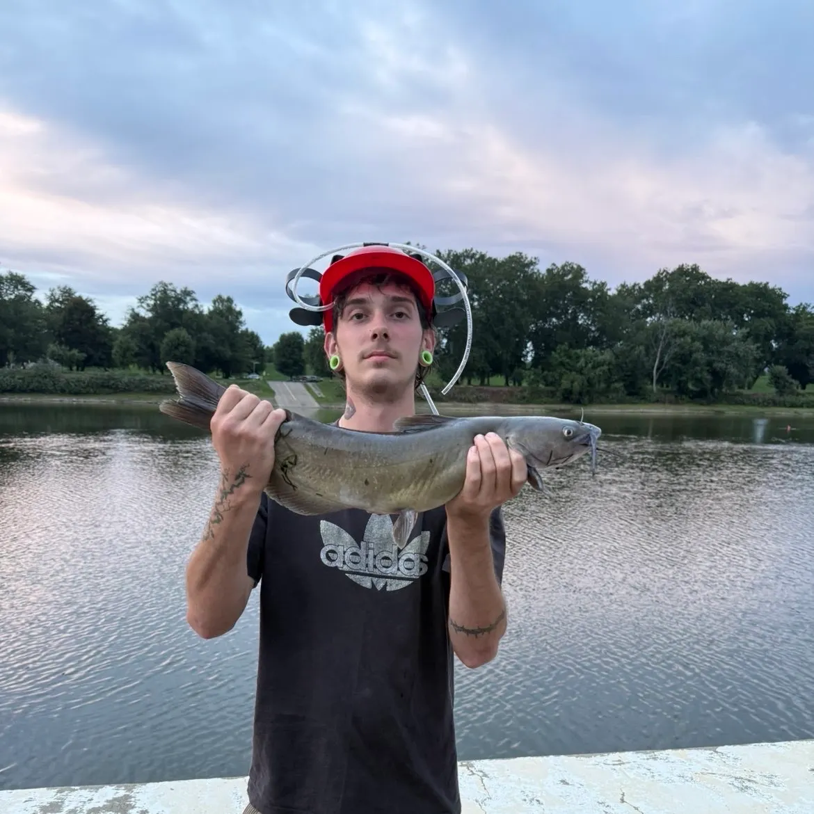 Channel catfish caught on Fishbrain