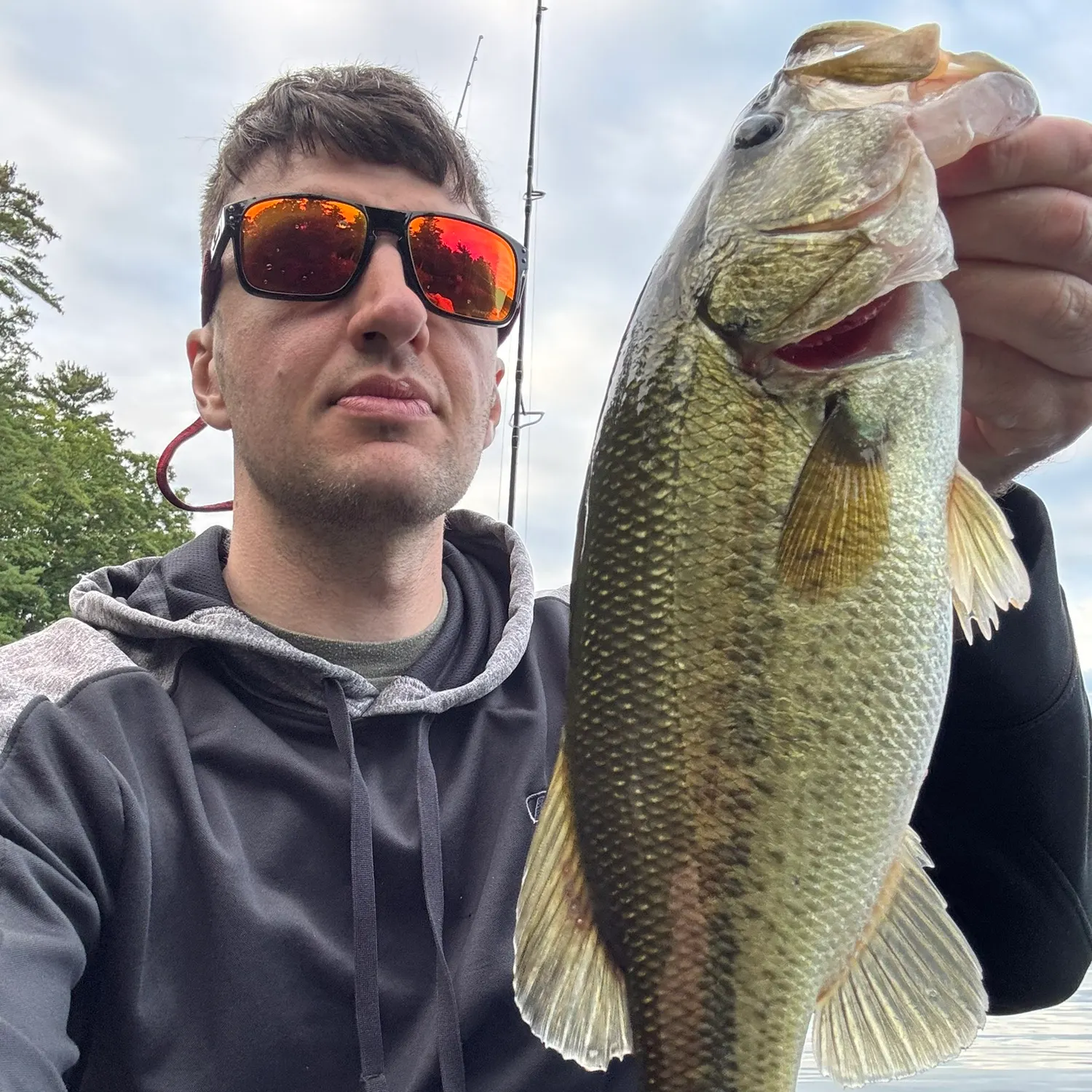 Largemouth bass caught on Fishbrain