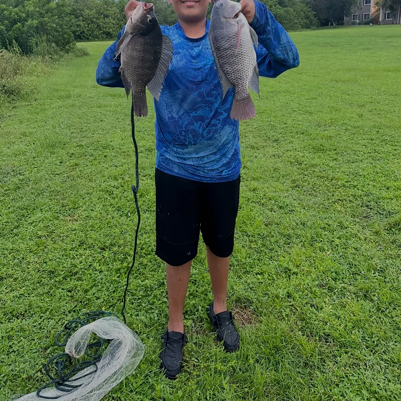 The most recent Nile tilapia catches on Fishbrain