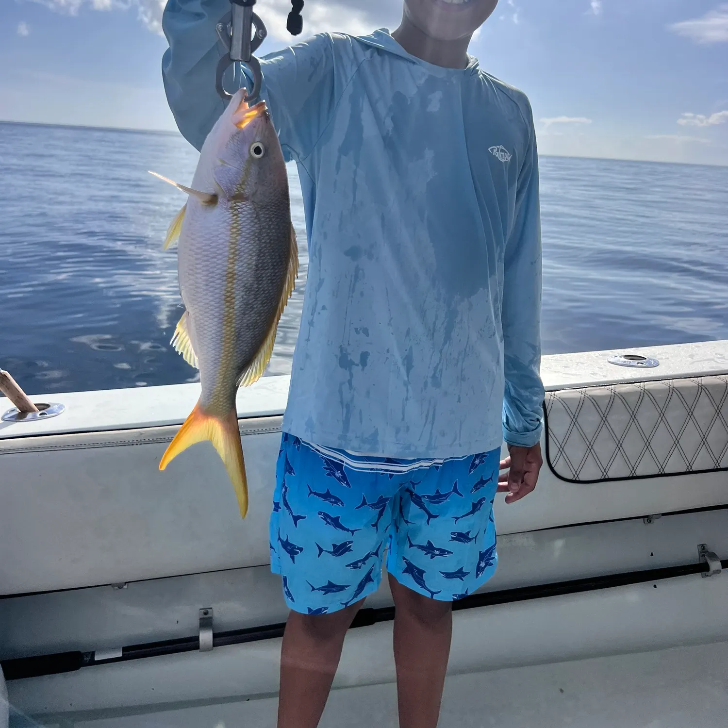The most recent Yellowtail snapper catches on Fishbrain