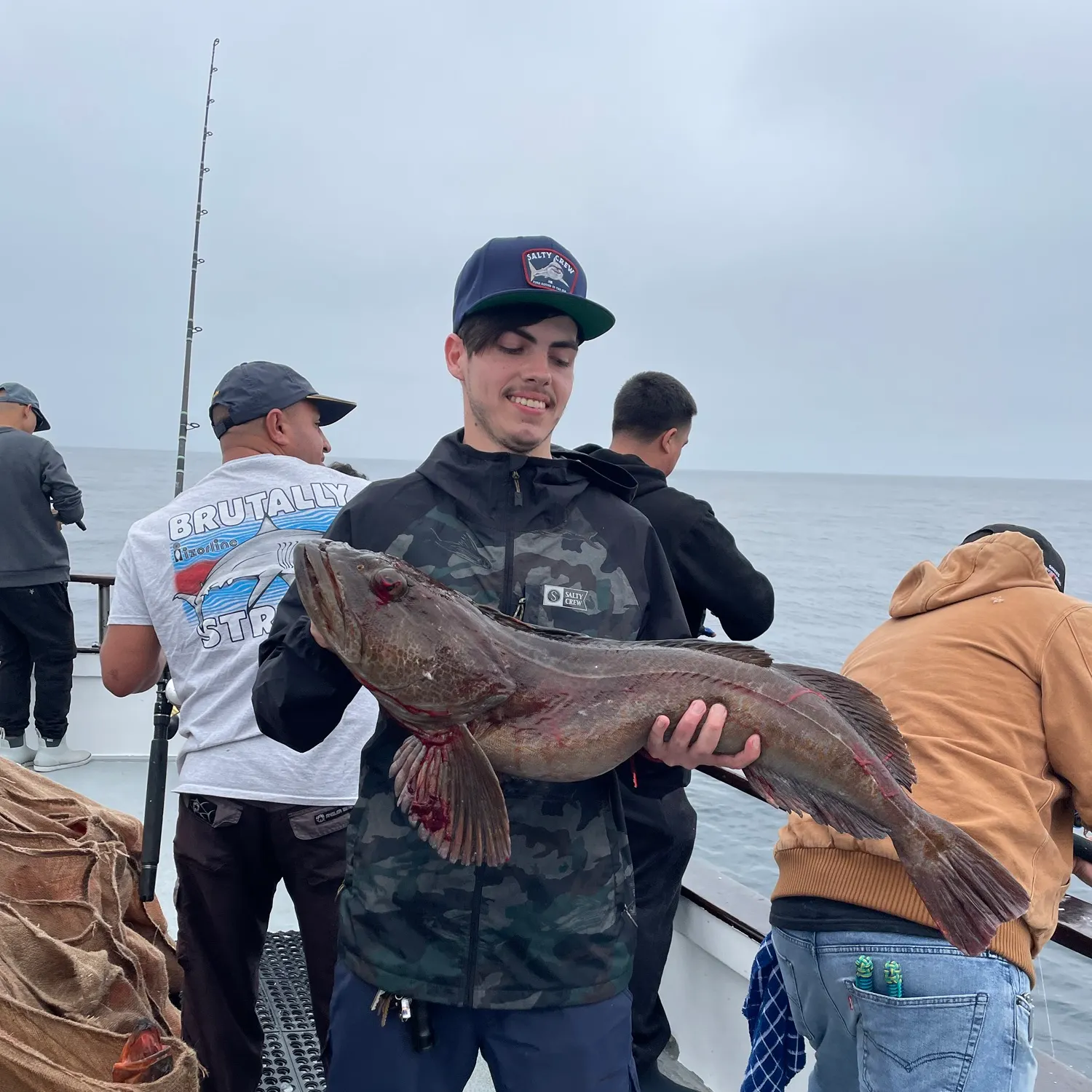 Lingcod caught on Fishbrain