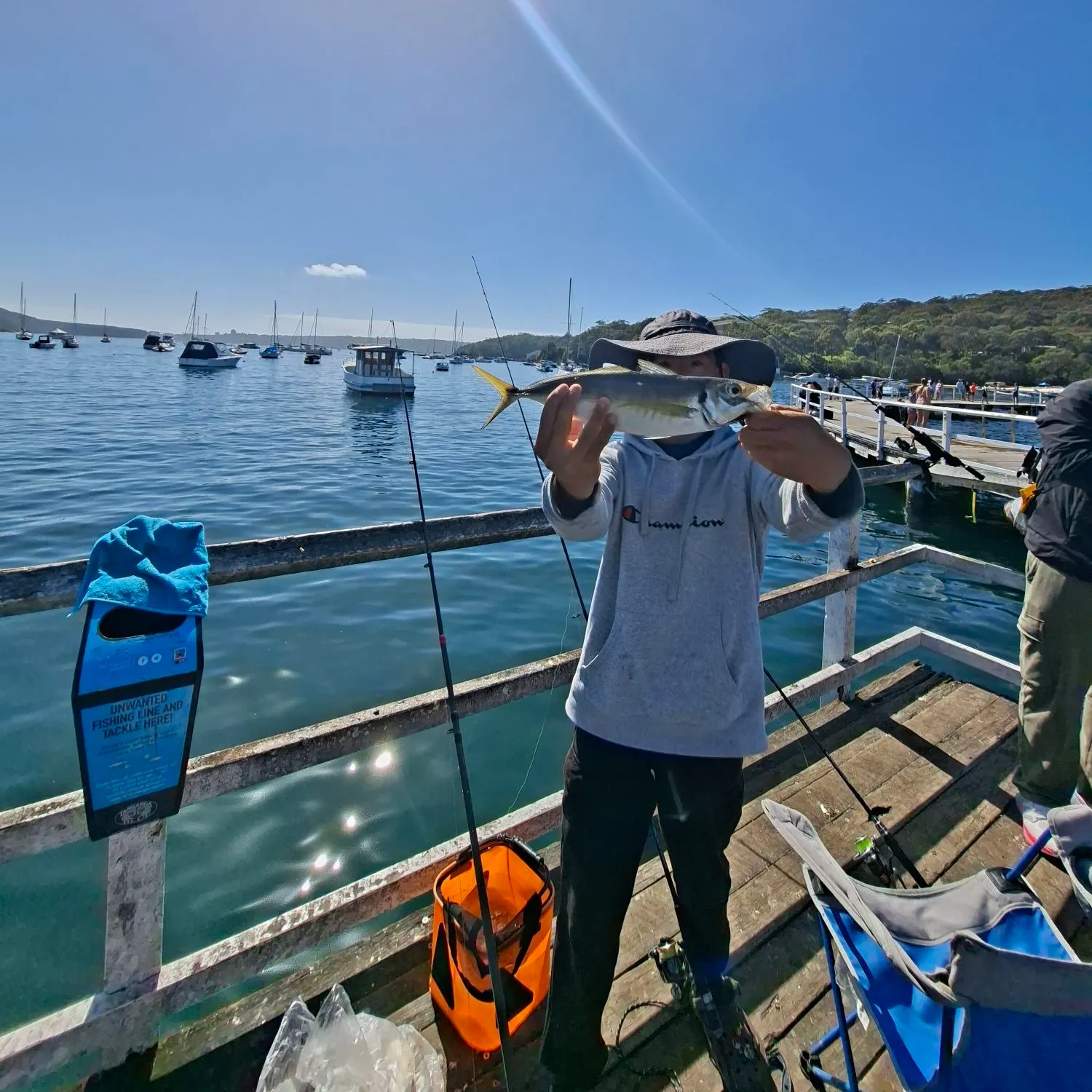 The most recent Mediterranean horse mackerel catches on Fishbrain