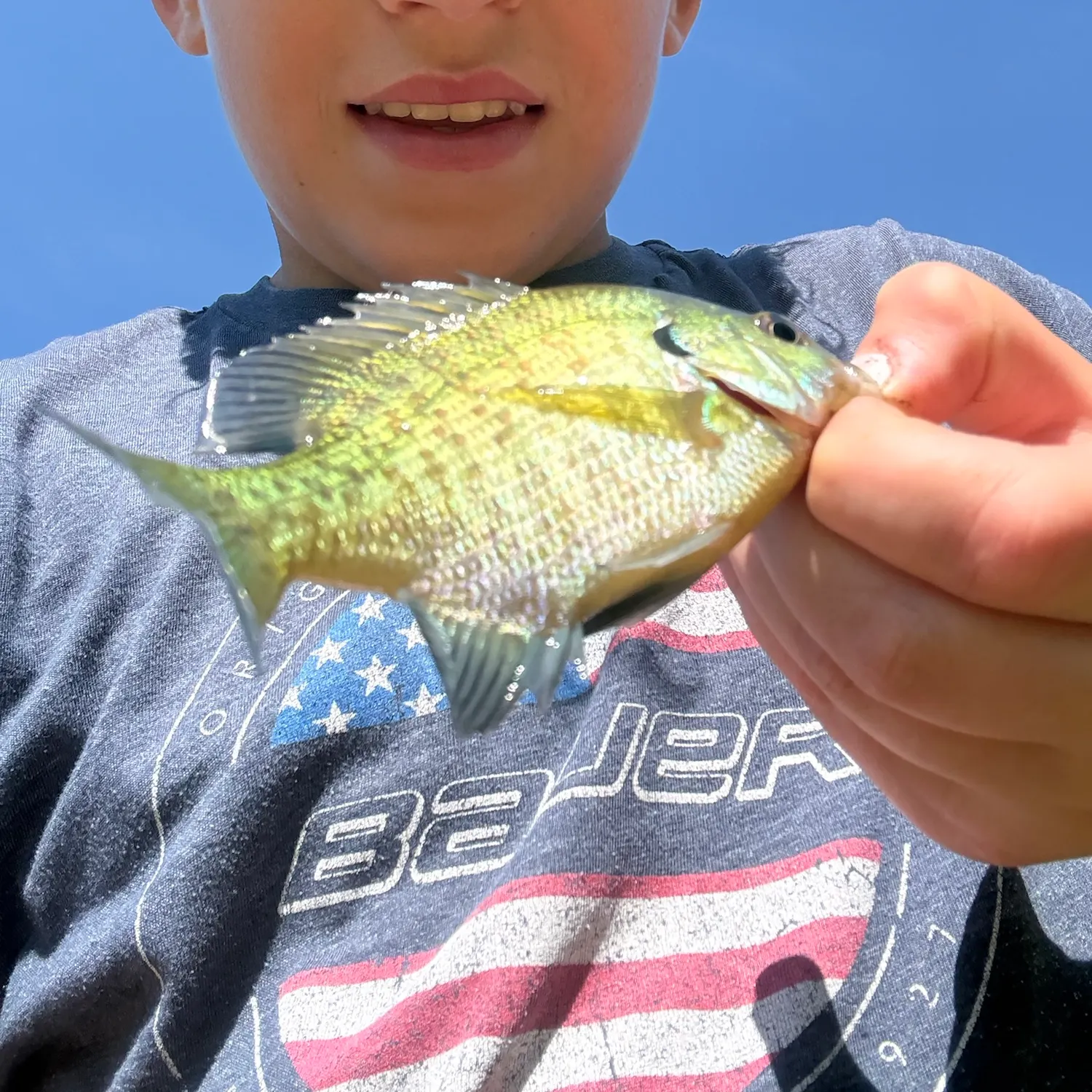 Bluegill caught on Fishbrain