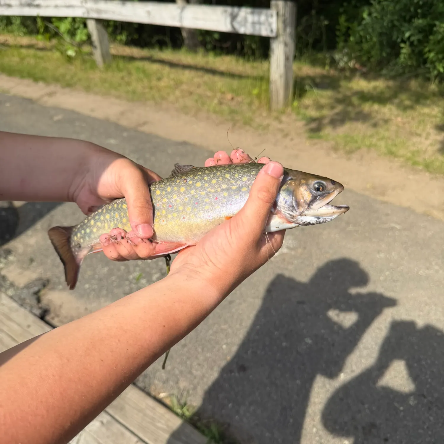 catch