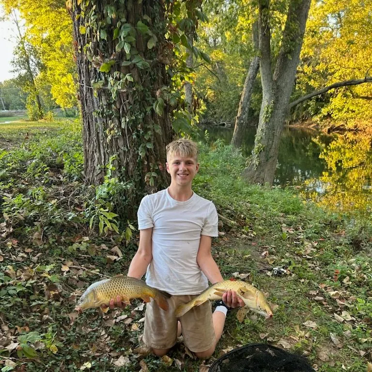 Common carp caught on Fishbrain