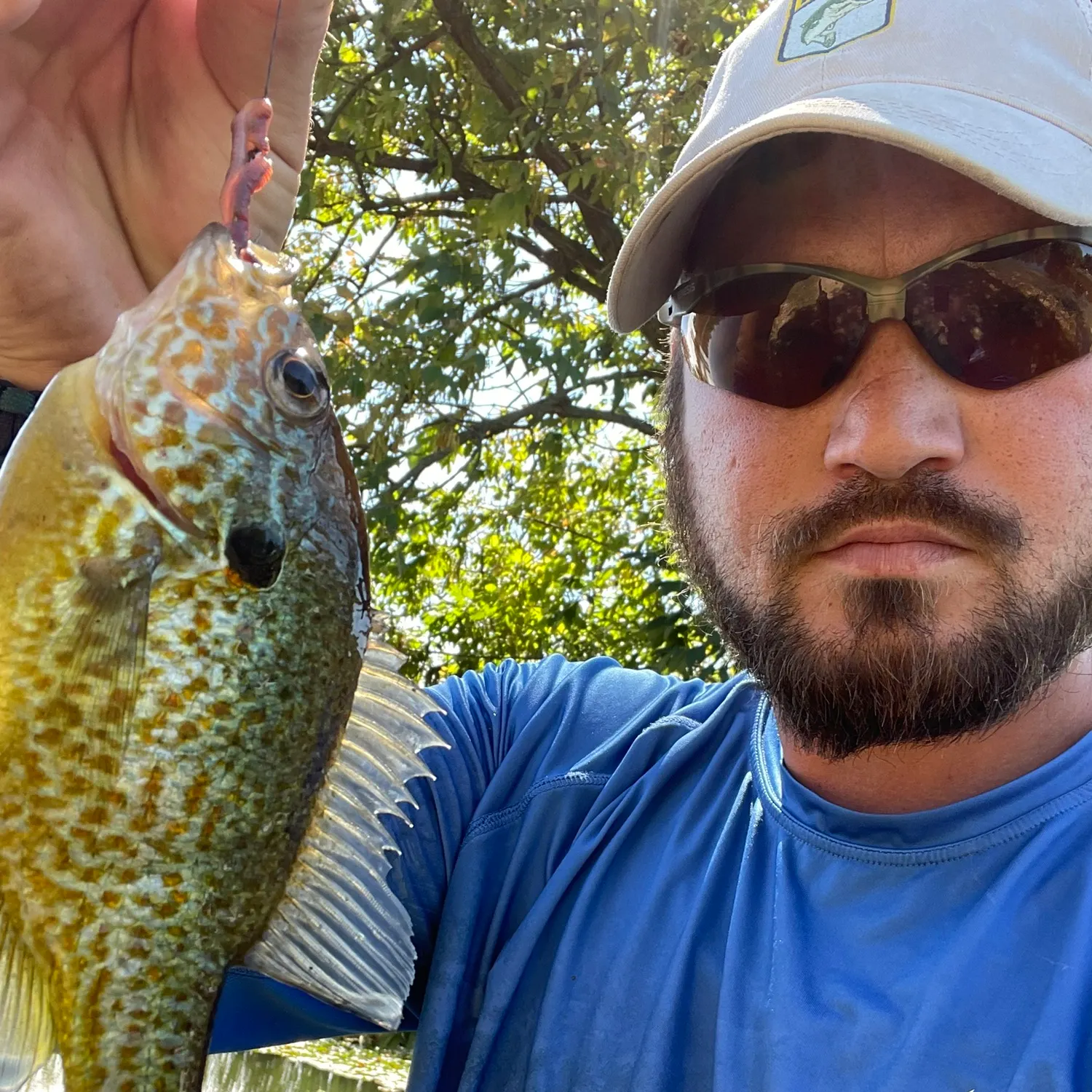 Pumpkinseed caught on Fishbrain