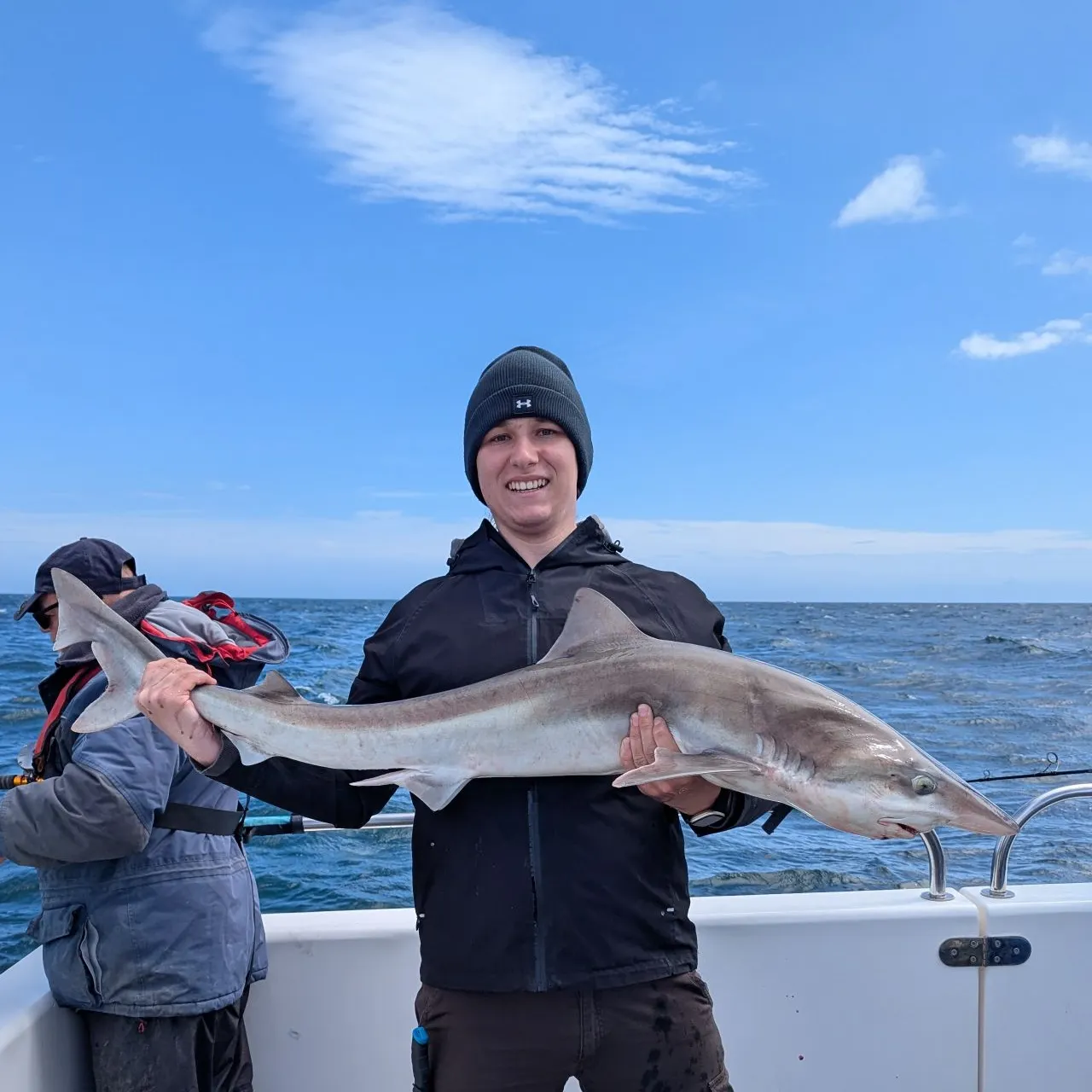 The most recent Tope shark catches on Fishbrain