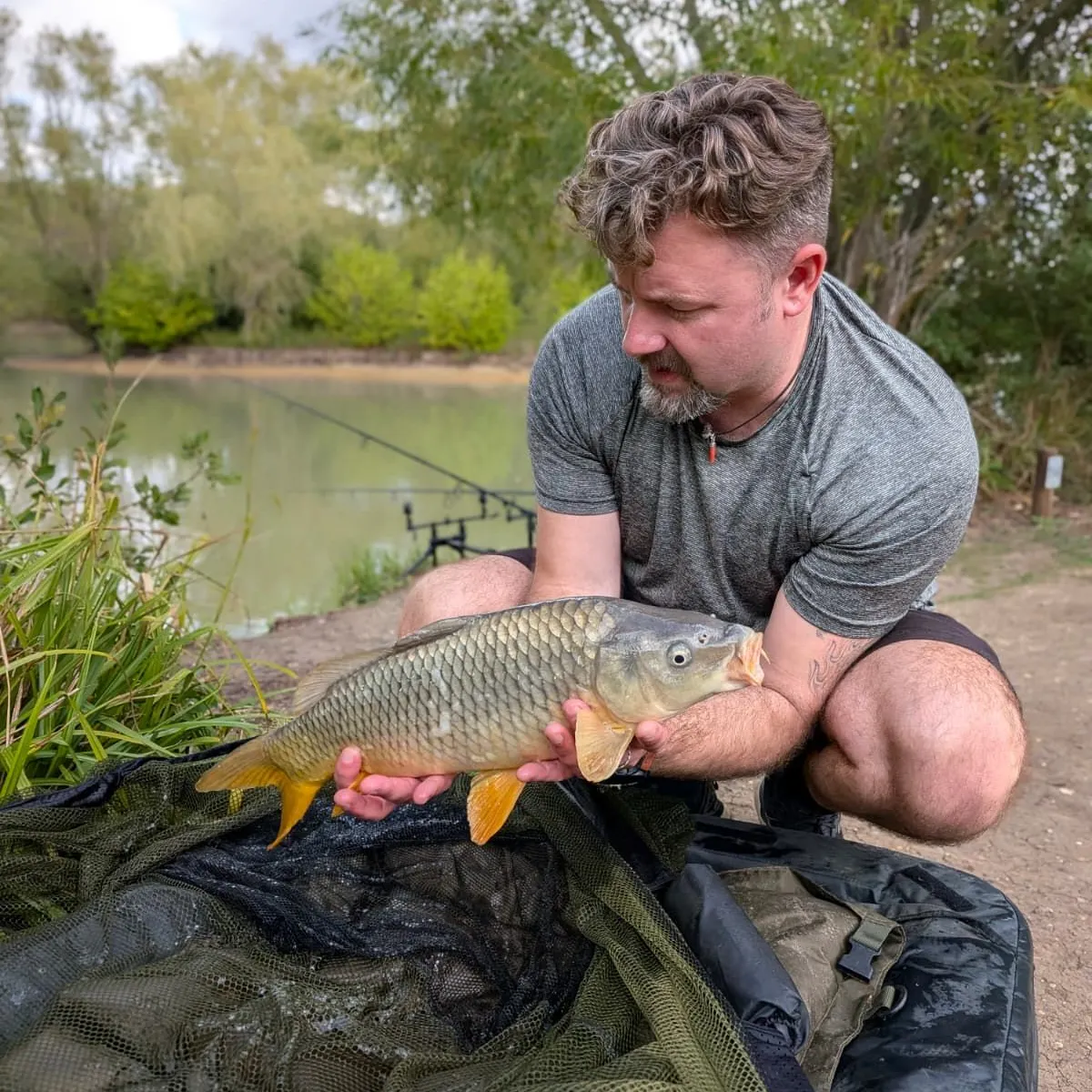 Common carp caught on Fishbrain