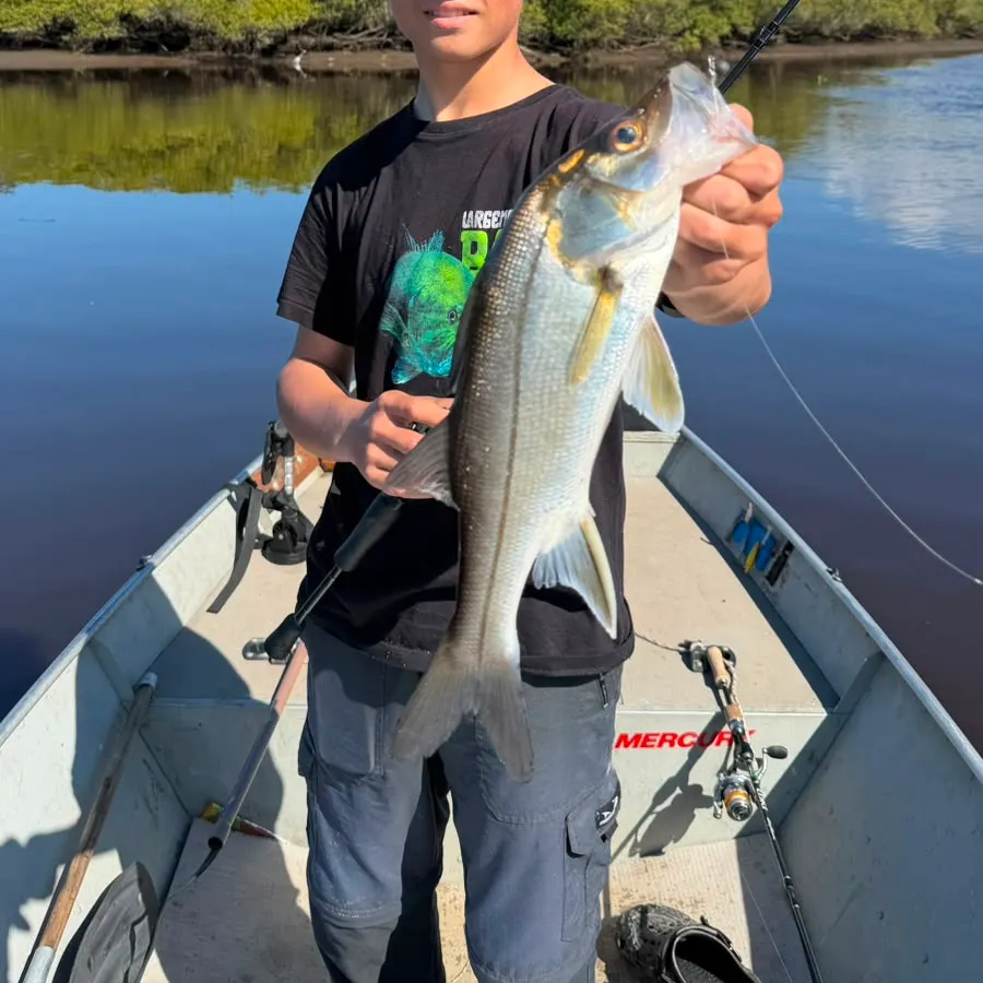 Fat snook caught on Fishbrain