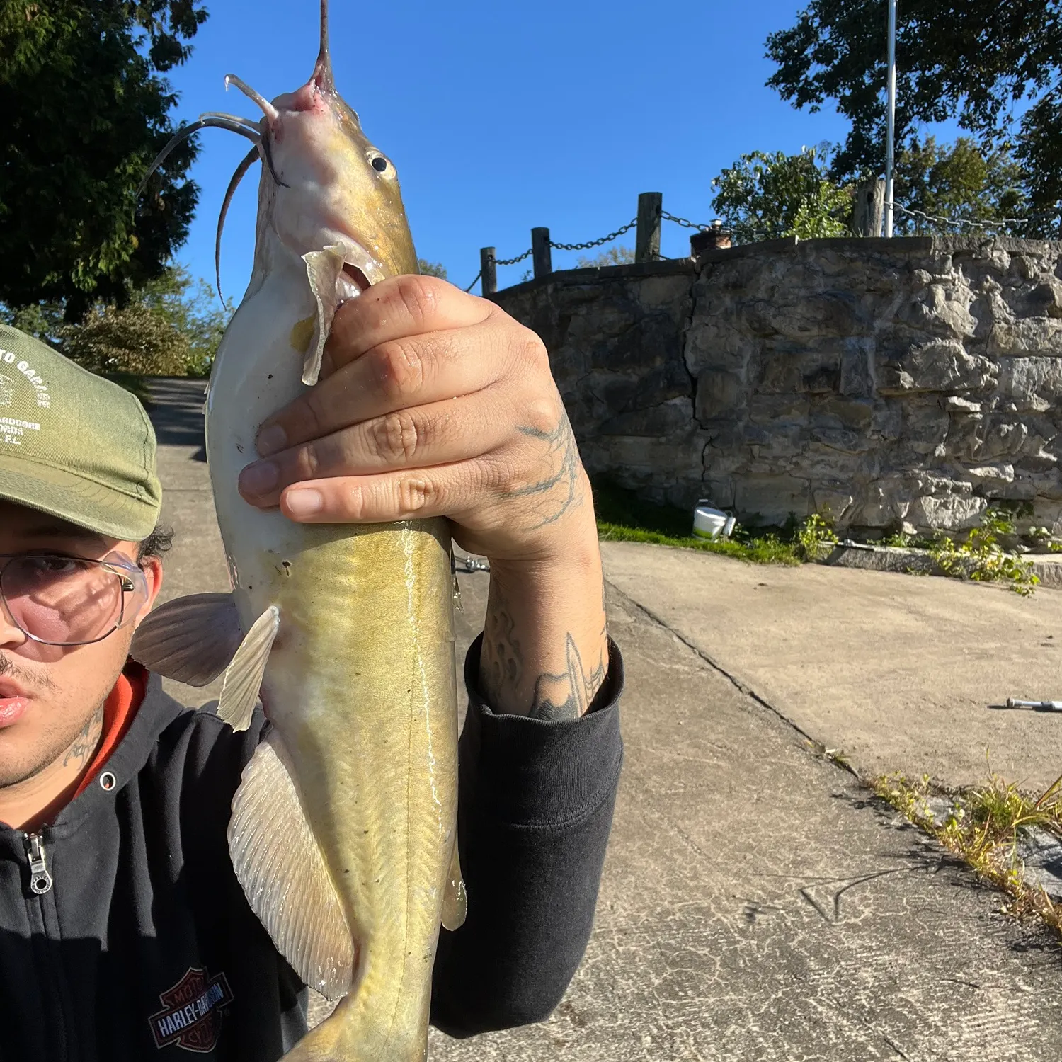 Channel catfish caught on Fishbrain