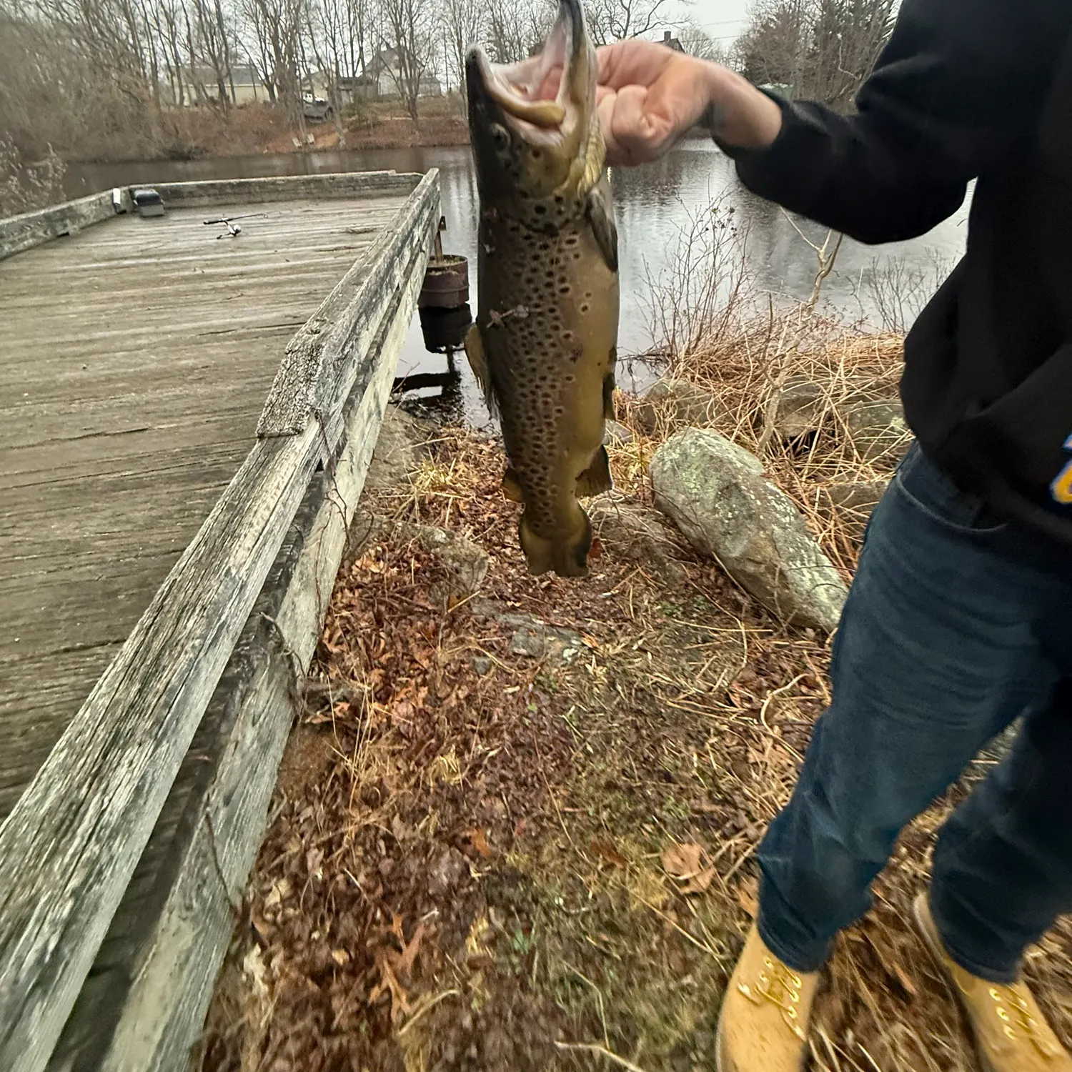 catch