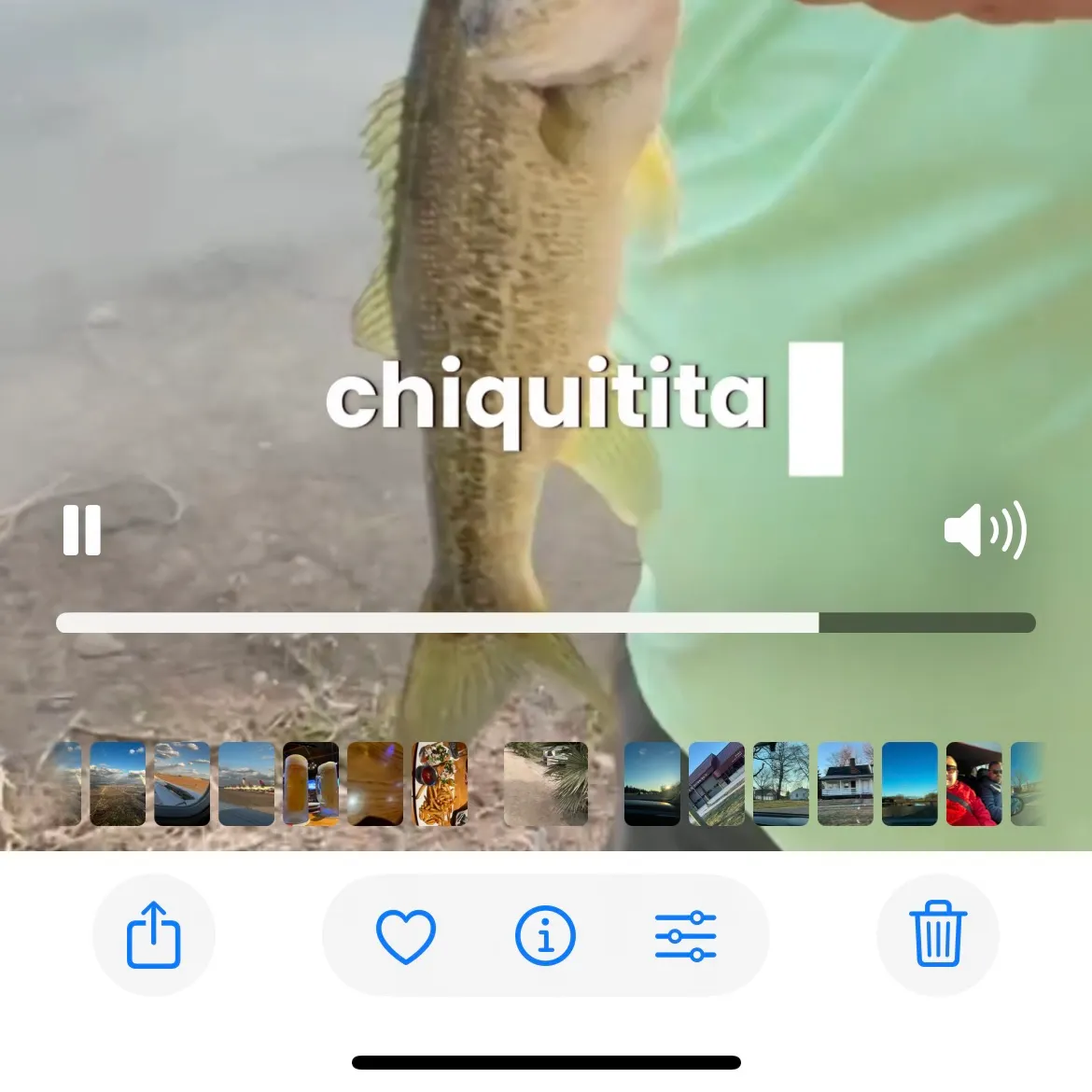 recently logged catches